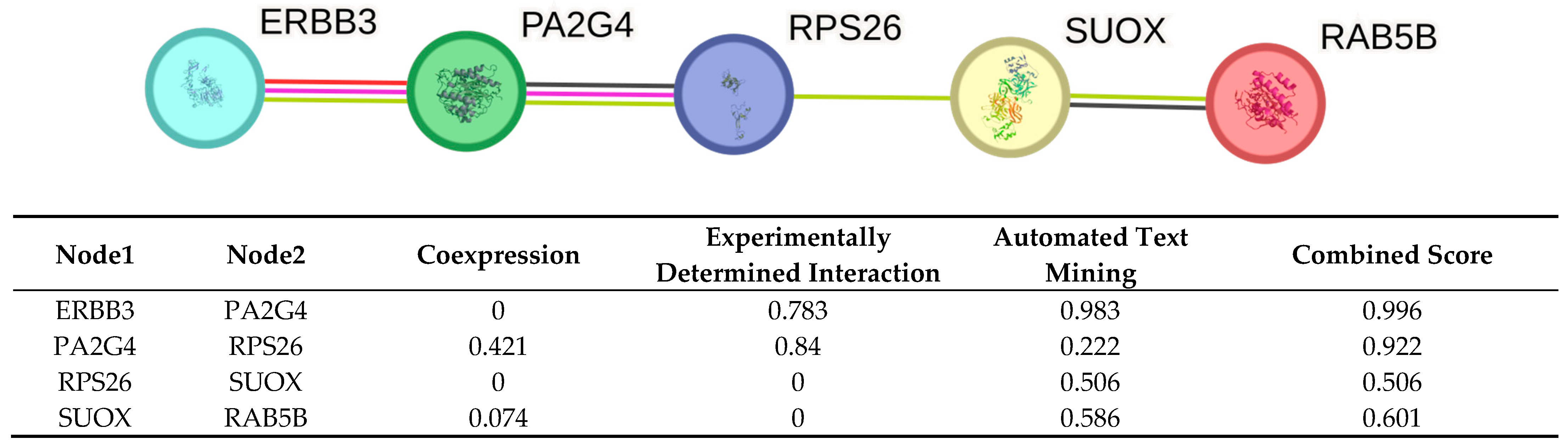 Ijms 26 11184 g002 Ijms 26 11184 g002
