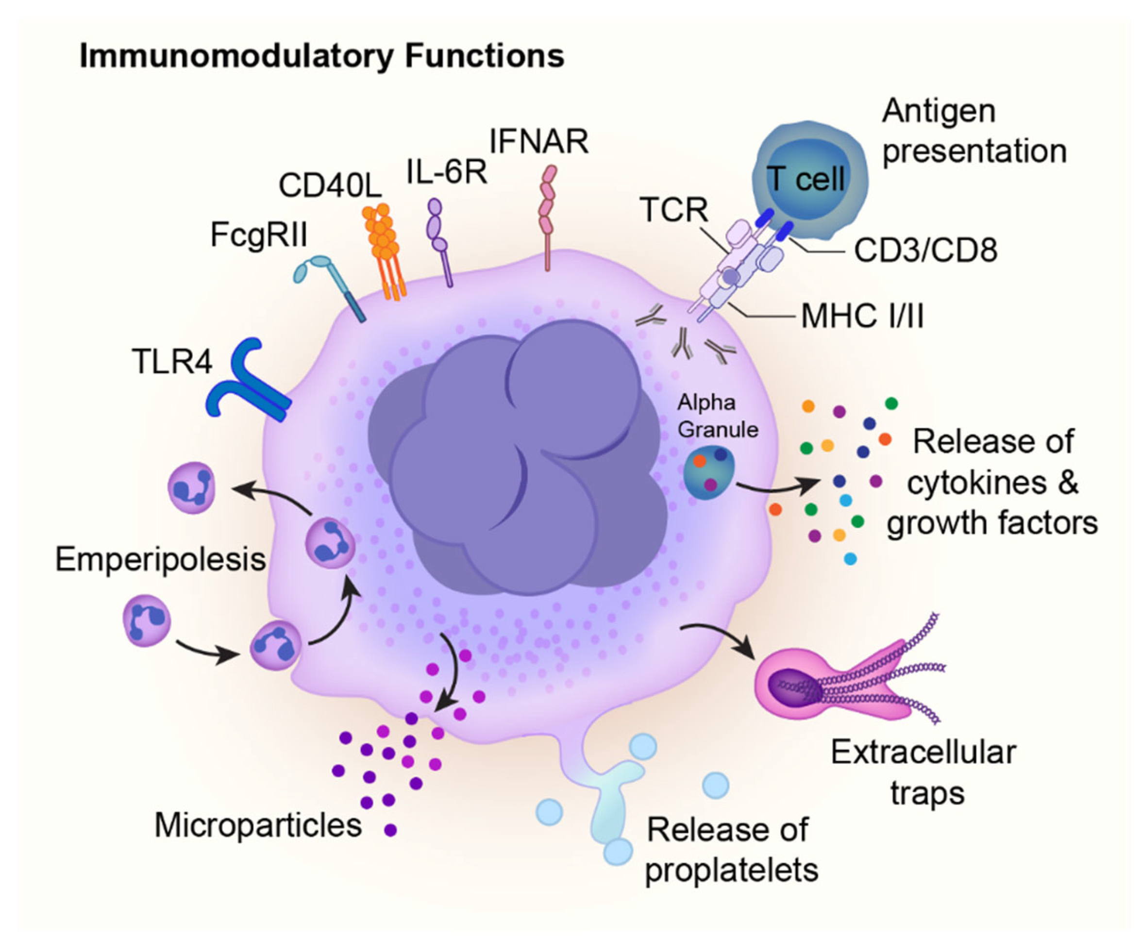 Ijms 26 11191 g003 Ijms 26 11191 g003