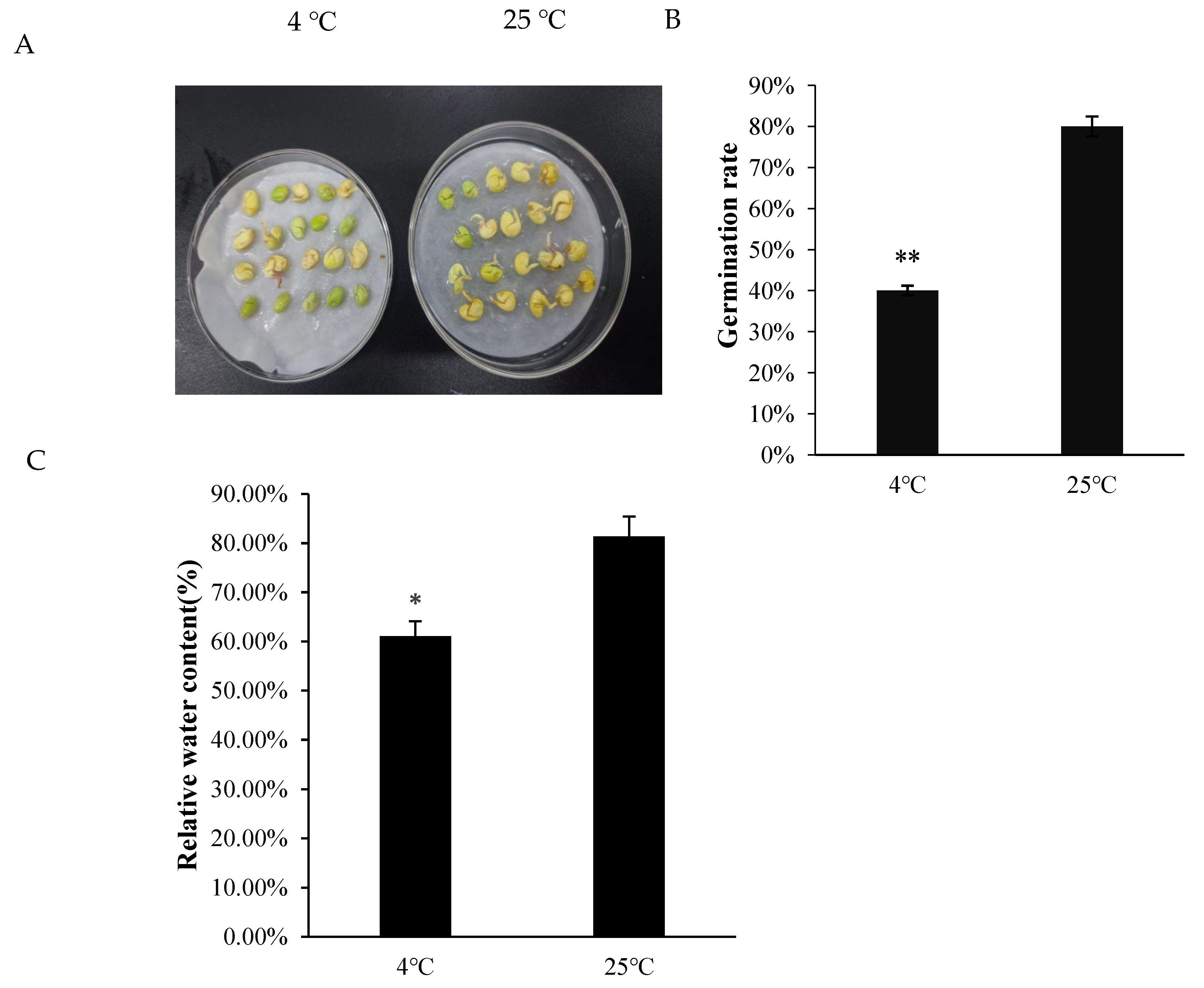 Ijms 26 11193 g001 Ijms 26 11193 g001