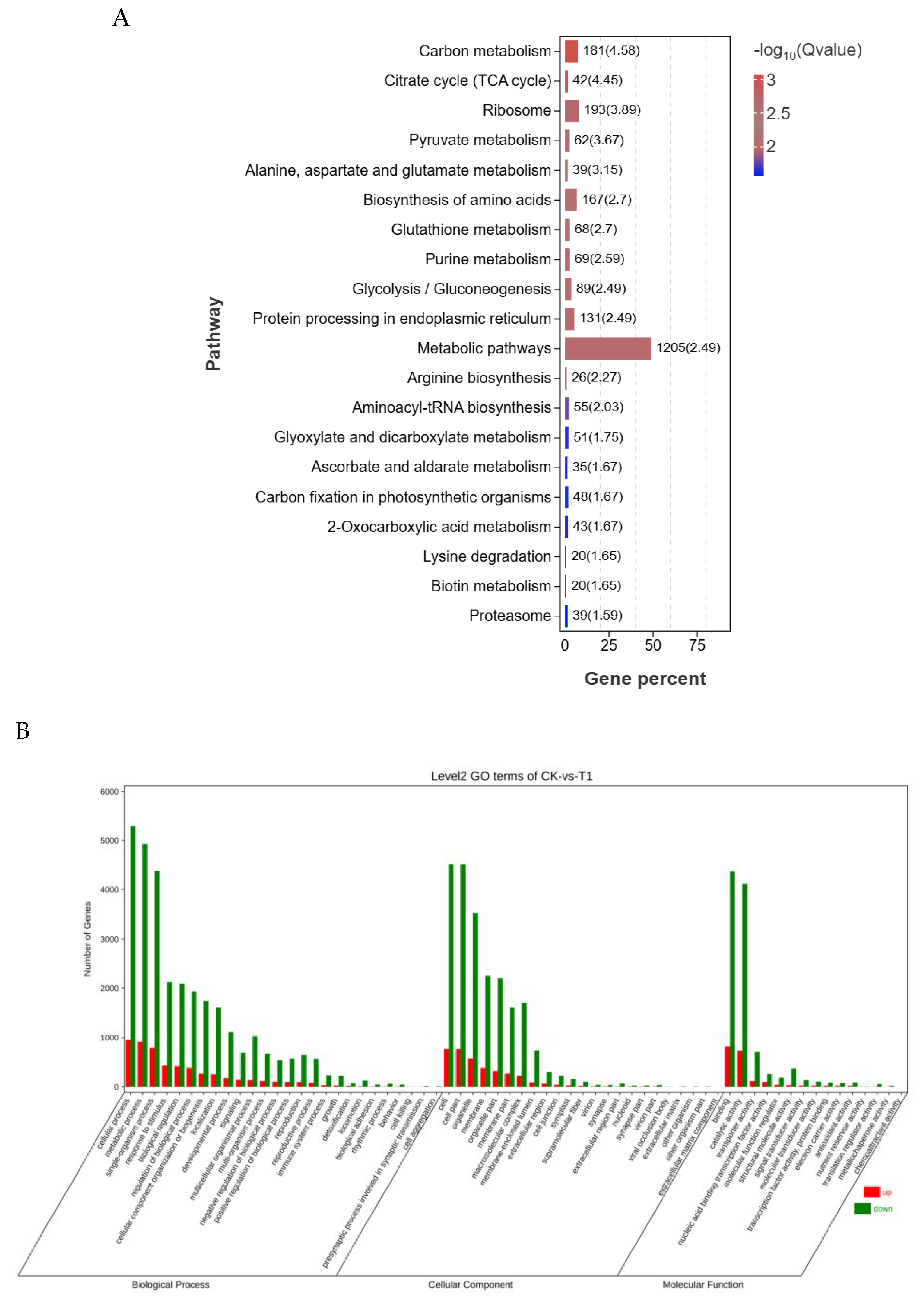 Ijms 26 11193 g005 Ijms 26 11193 g005