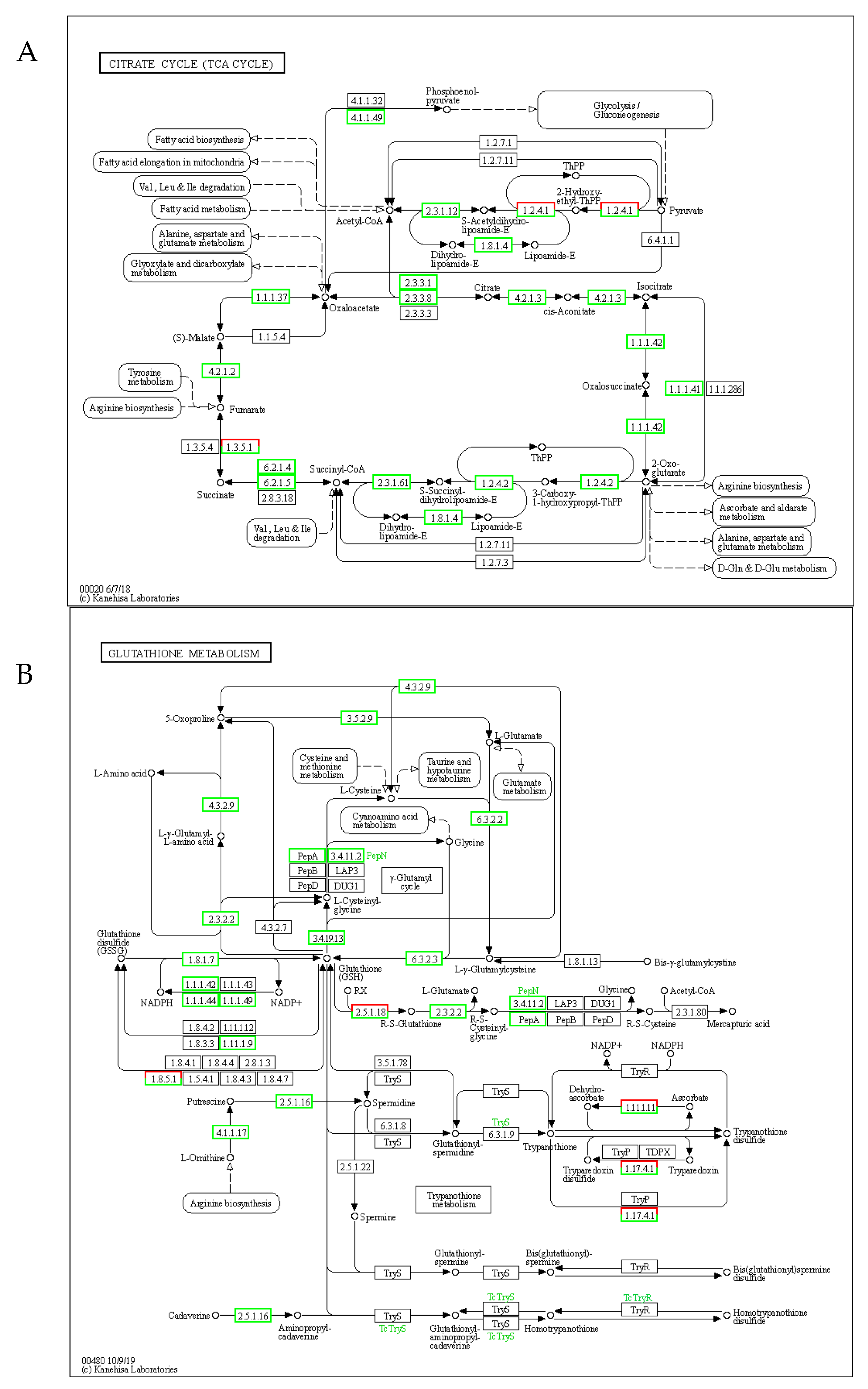 Ijms 26 11193 g006 Ijms 26 11193 g006