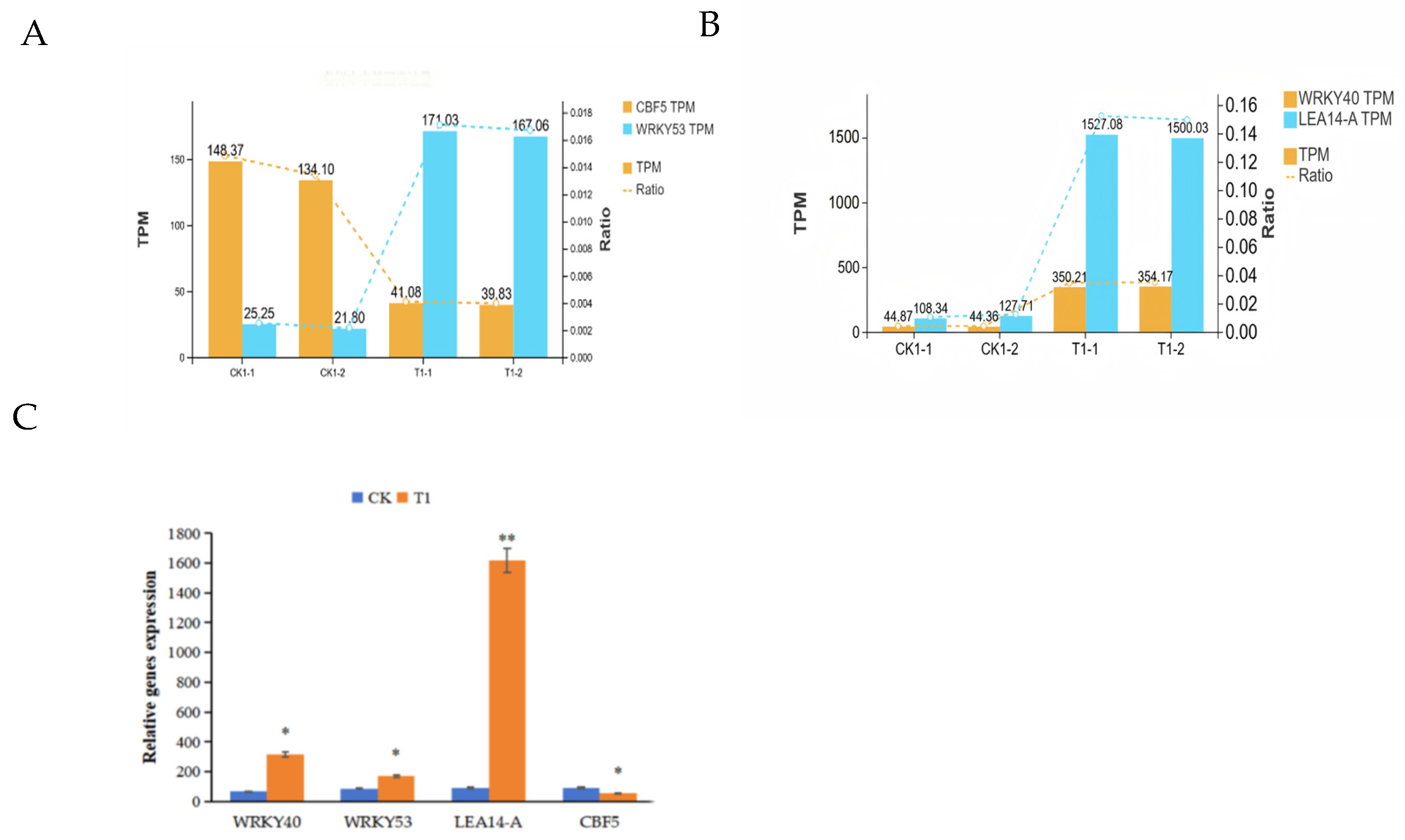 Ijms 26 11193 g007 Ijms 26 11193 g007