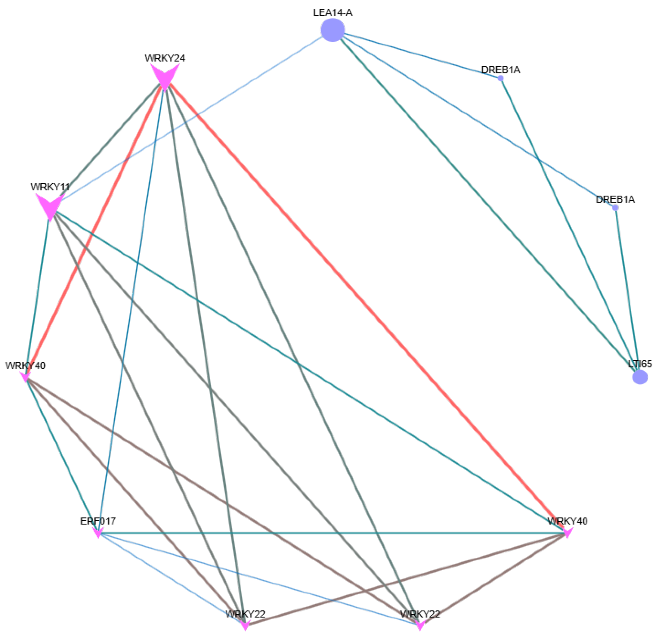 Ijms 26 11193 g008 Ijms 26 11193 g008