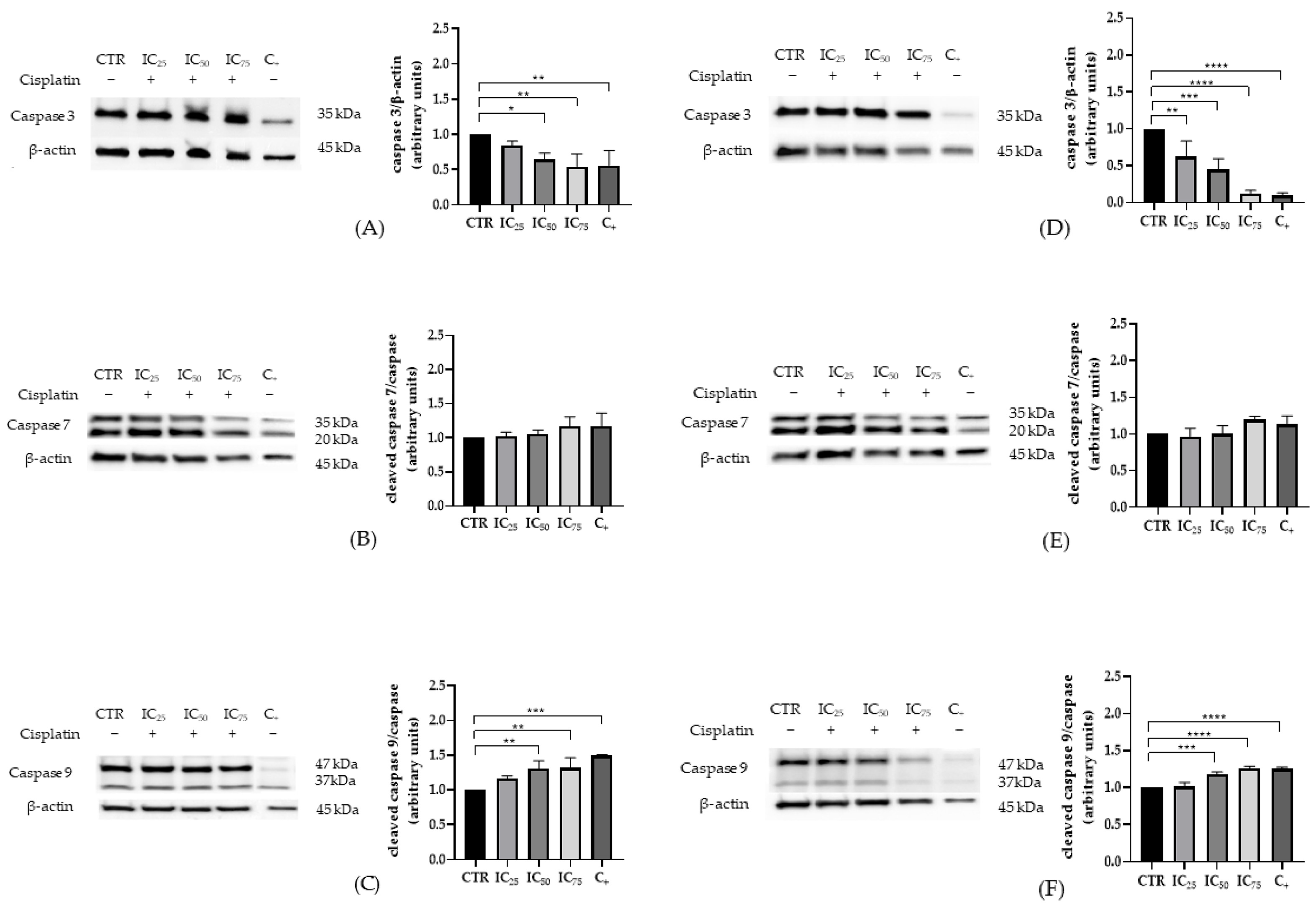 Ijms 26 11201 g002 Ijms 26 11201 g002