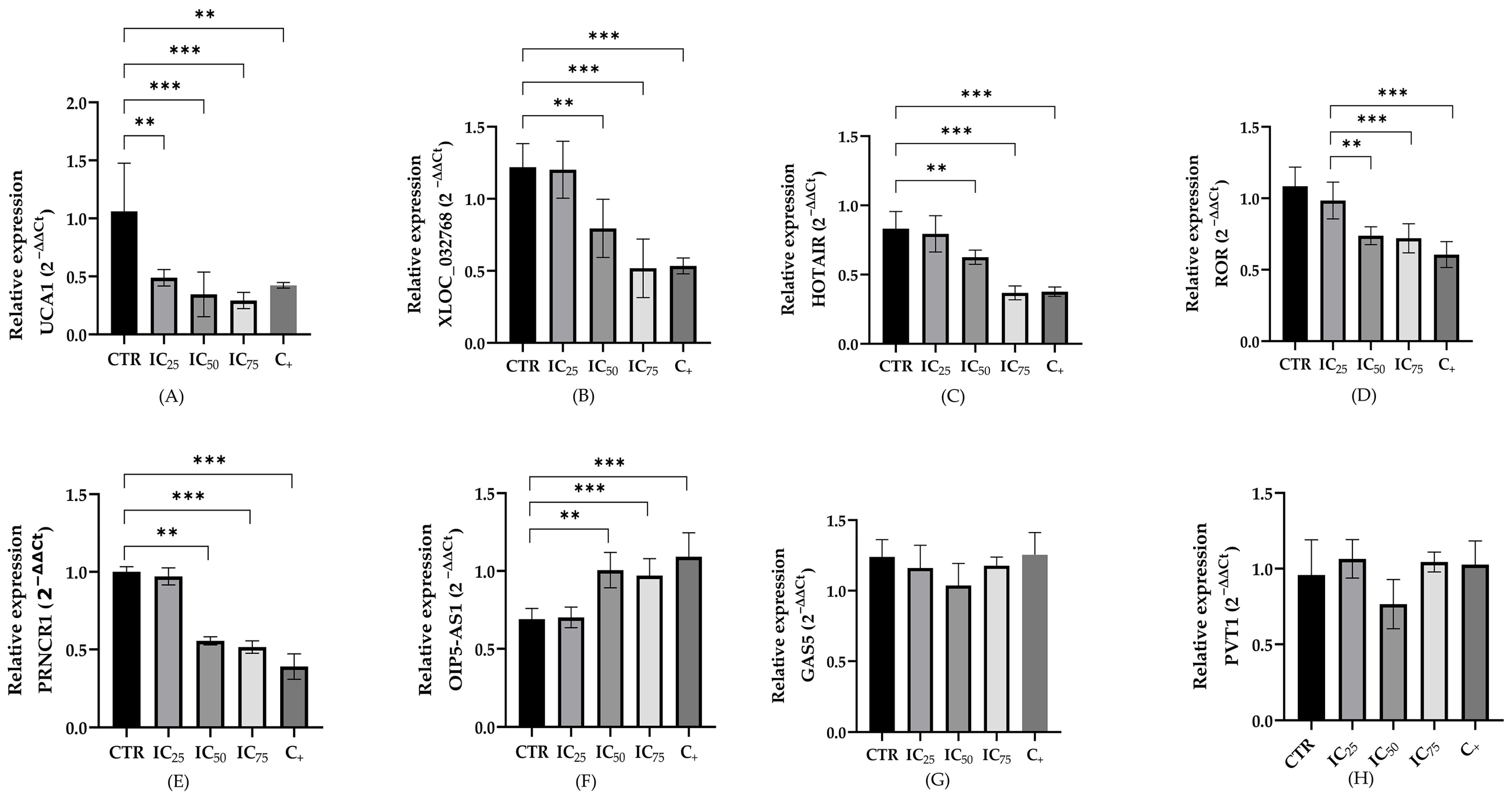 Ijms 26 11201 g005 Ijms 26 11201 g005