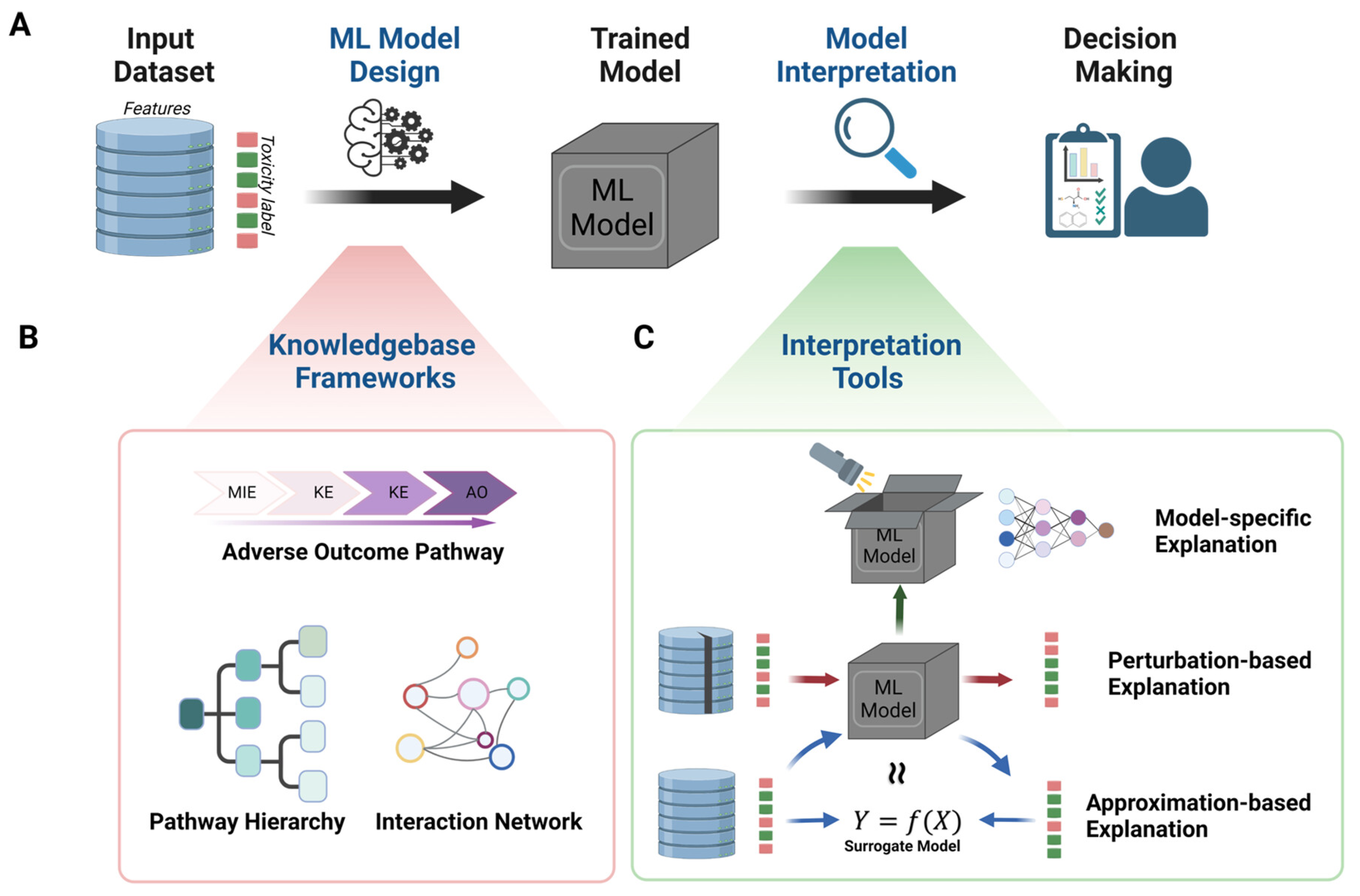 Ijms 26 11202 g004 Ijms 26 11202 g004
