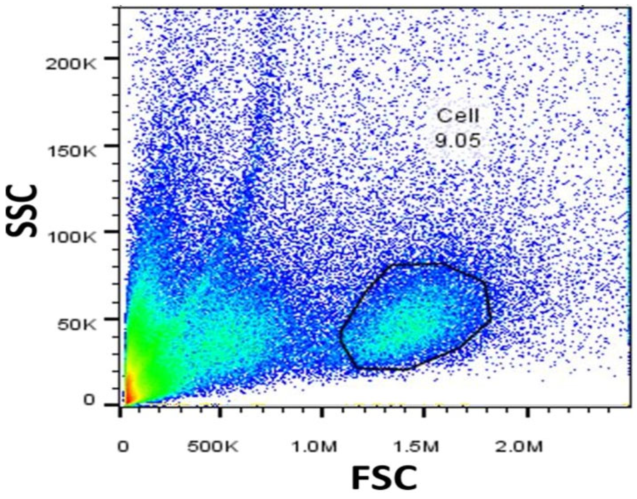 Ijms 26 11206 g001 Ijms 26 11206 g001