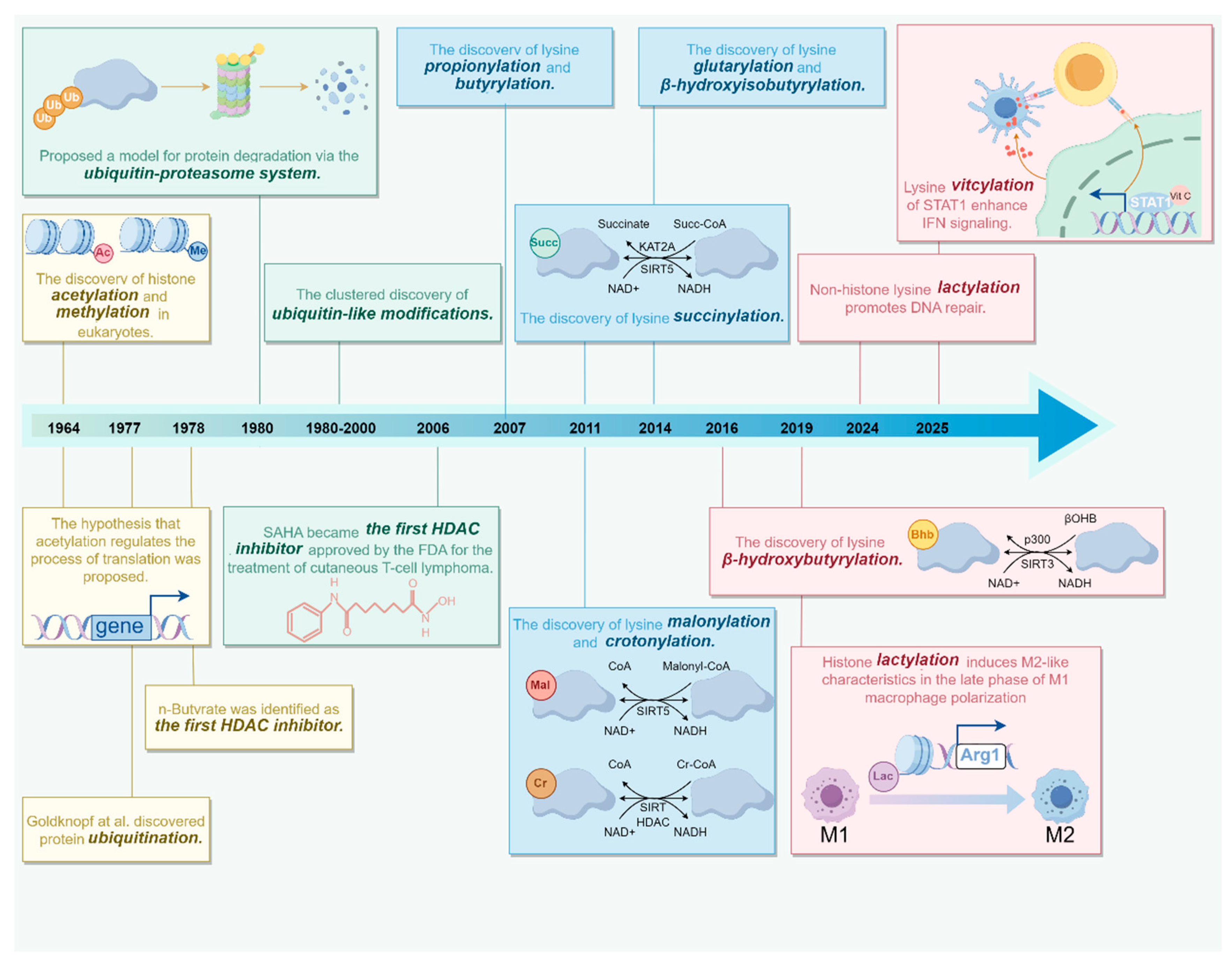 Non-Histone Lysine Modifications in Tumor Microenvironment