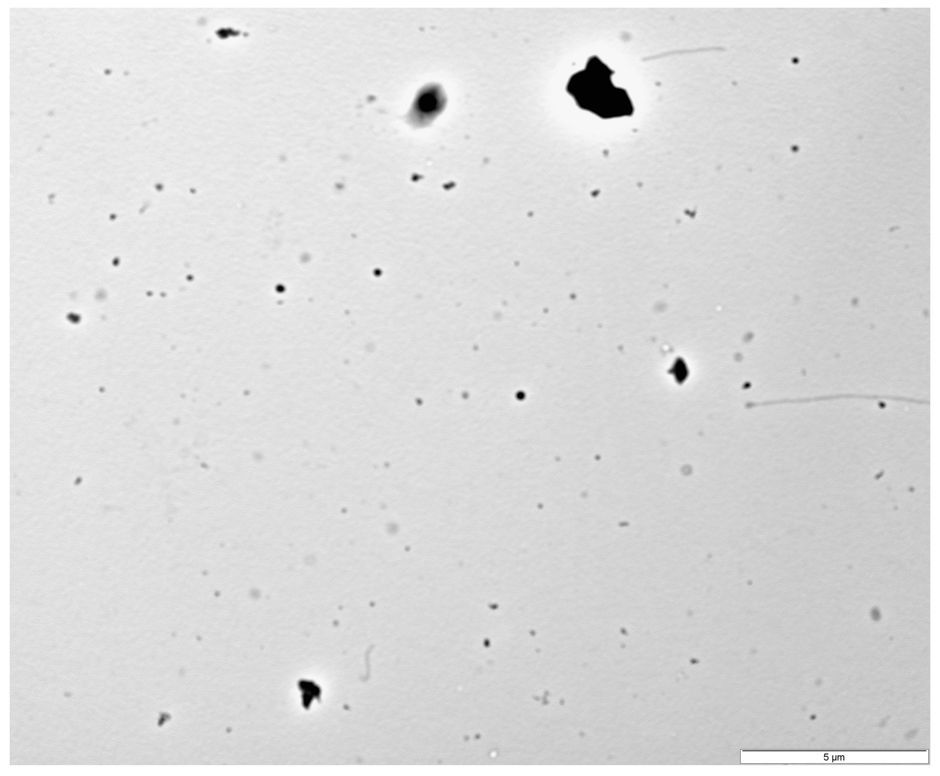 Ijms 26 11245 g002 Ijms 26 11245 g002