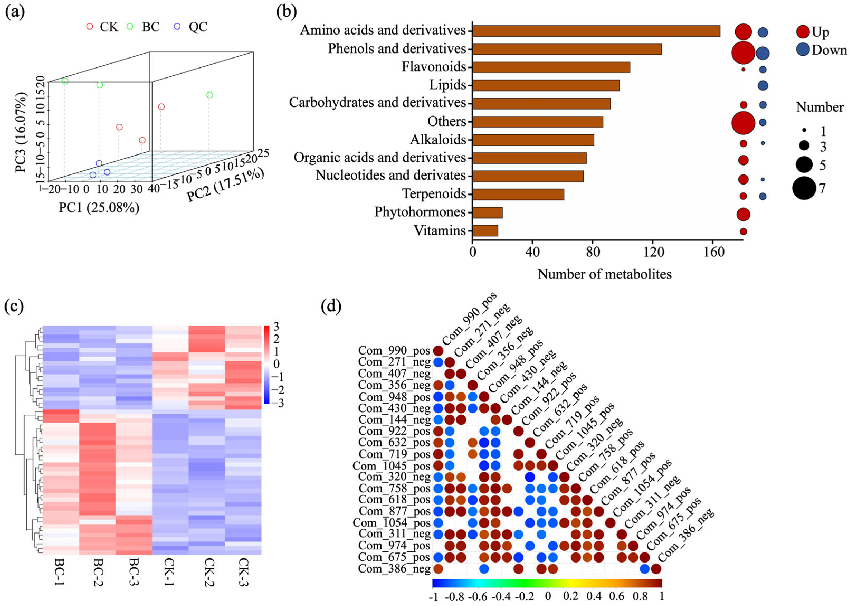 Ijms 26 11249 g003 Ijms 26 11249 g003