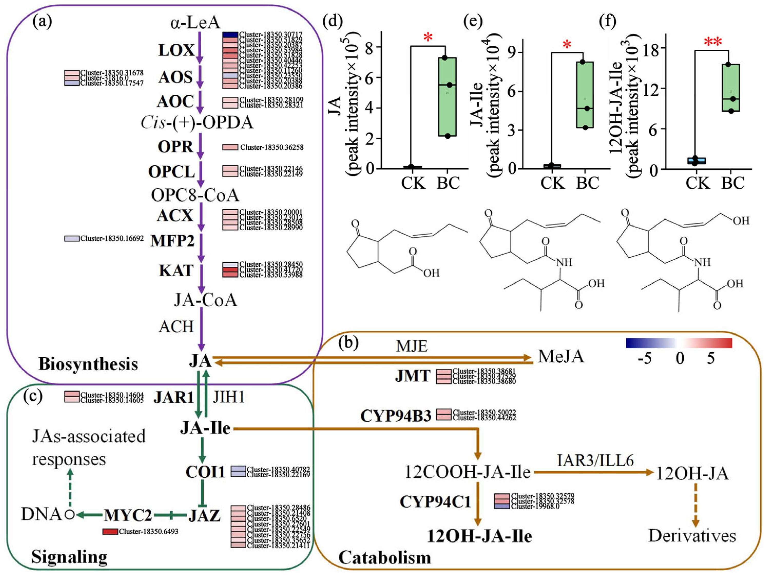 Ijms 26 11249 g005 Ijms 26 11249 g005