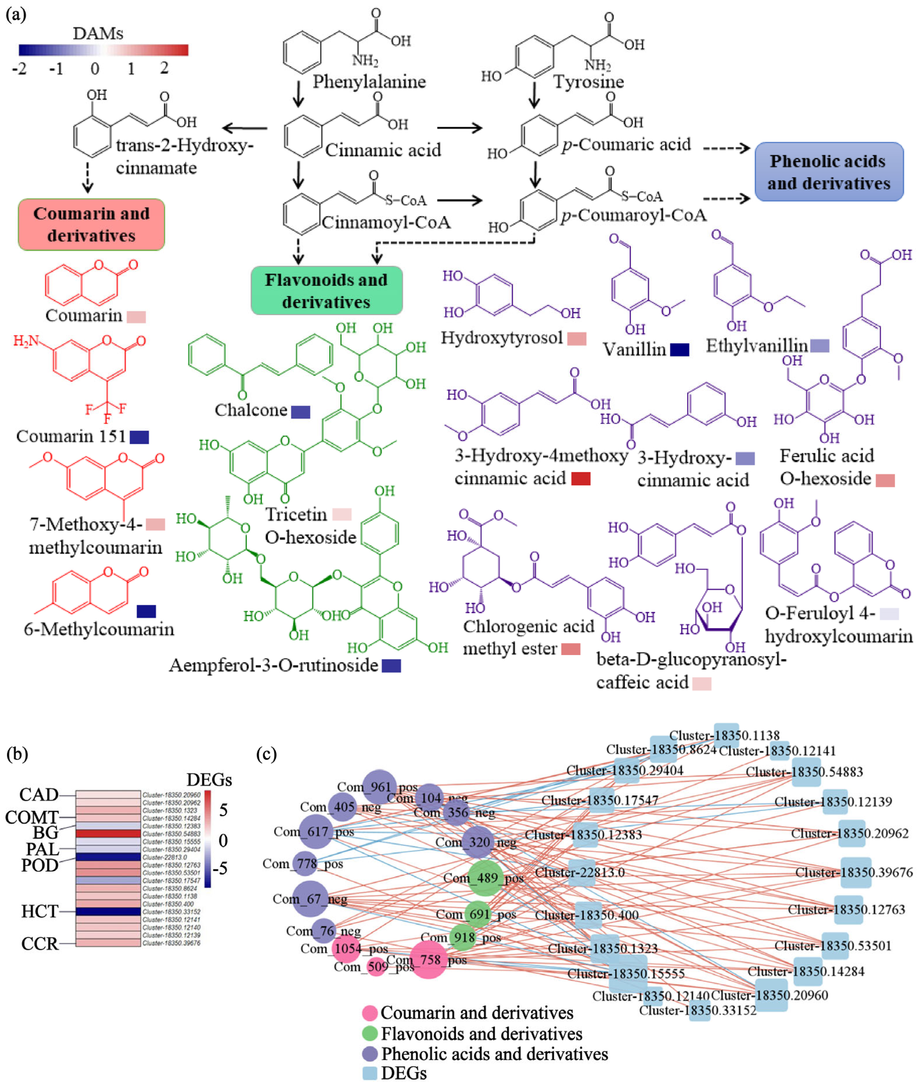 Ijms 26 11249 g006 Ijms 26 11249 g006