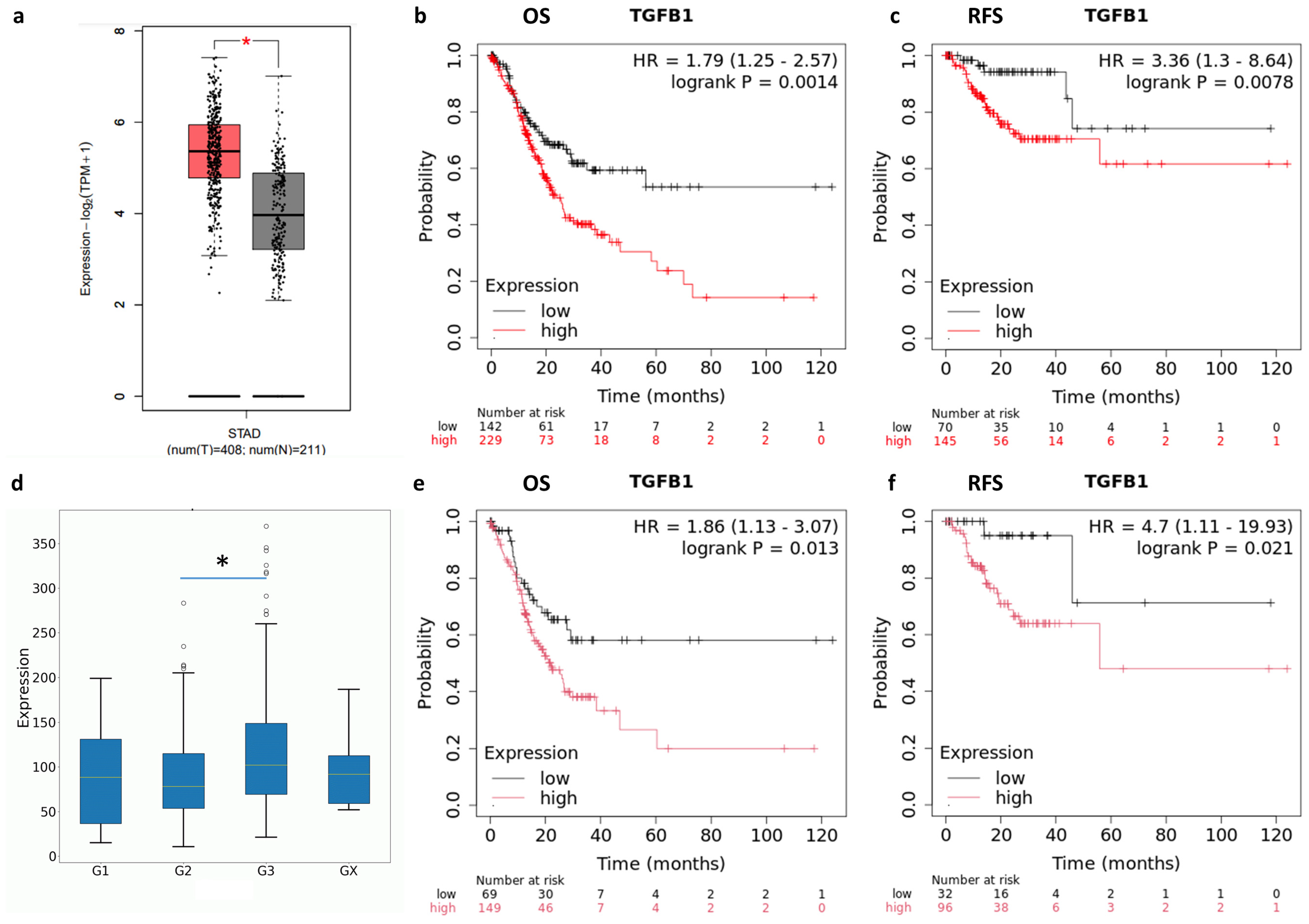 Ijms 26 11250 g001 Ijms 26 11250 g001