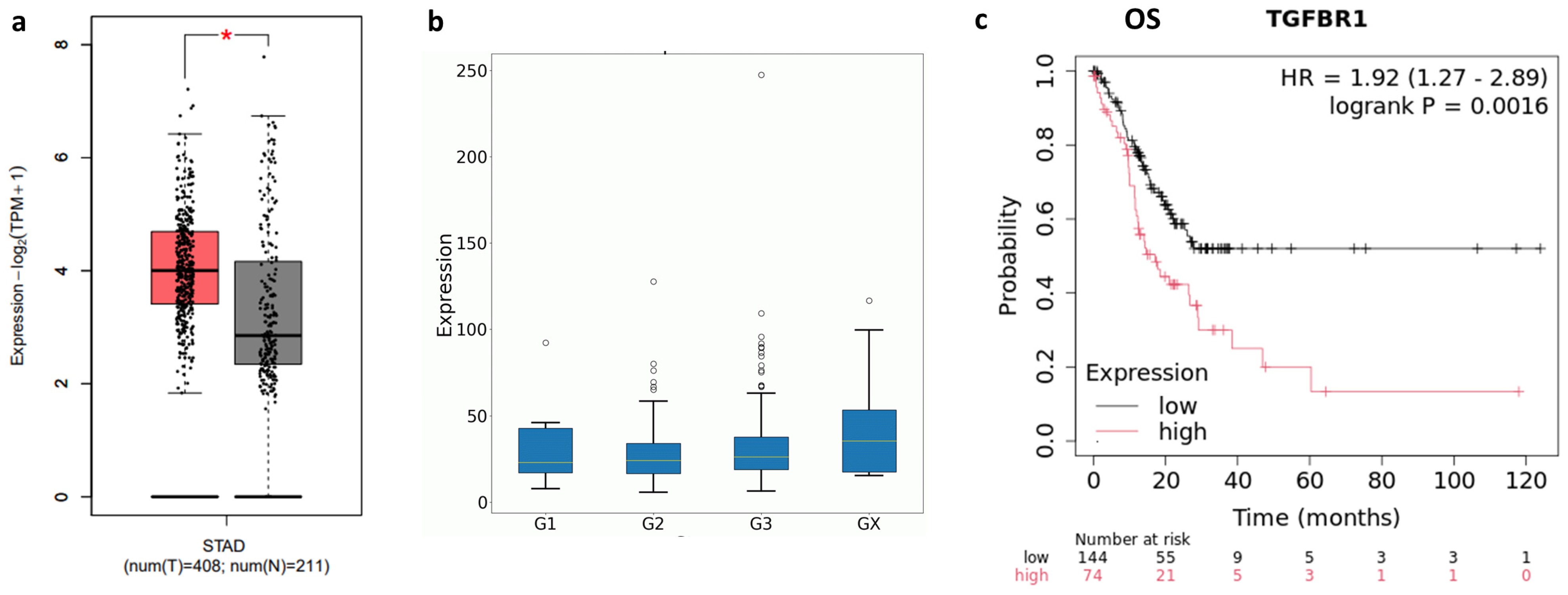Ijms 26 11250 g002 Ijms 26 11250 g002