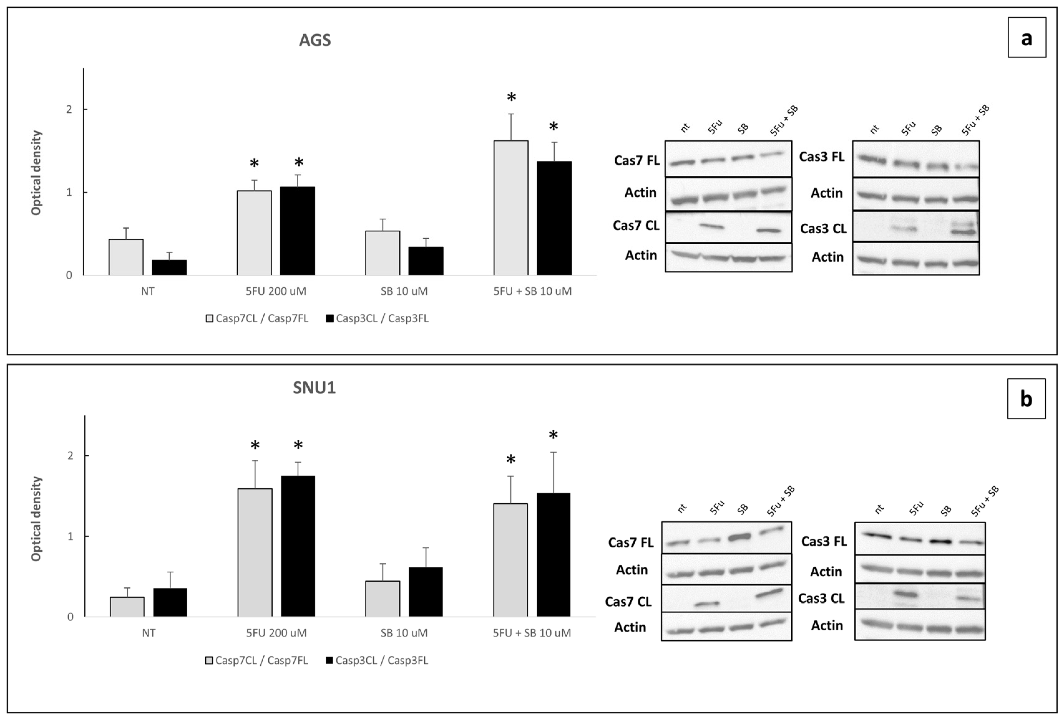 Ijms 26 11250 g008 Ijms 26 11250 g008