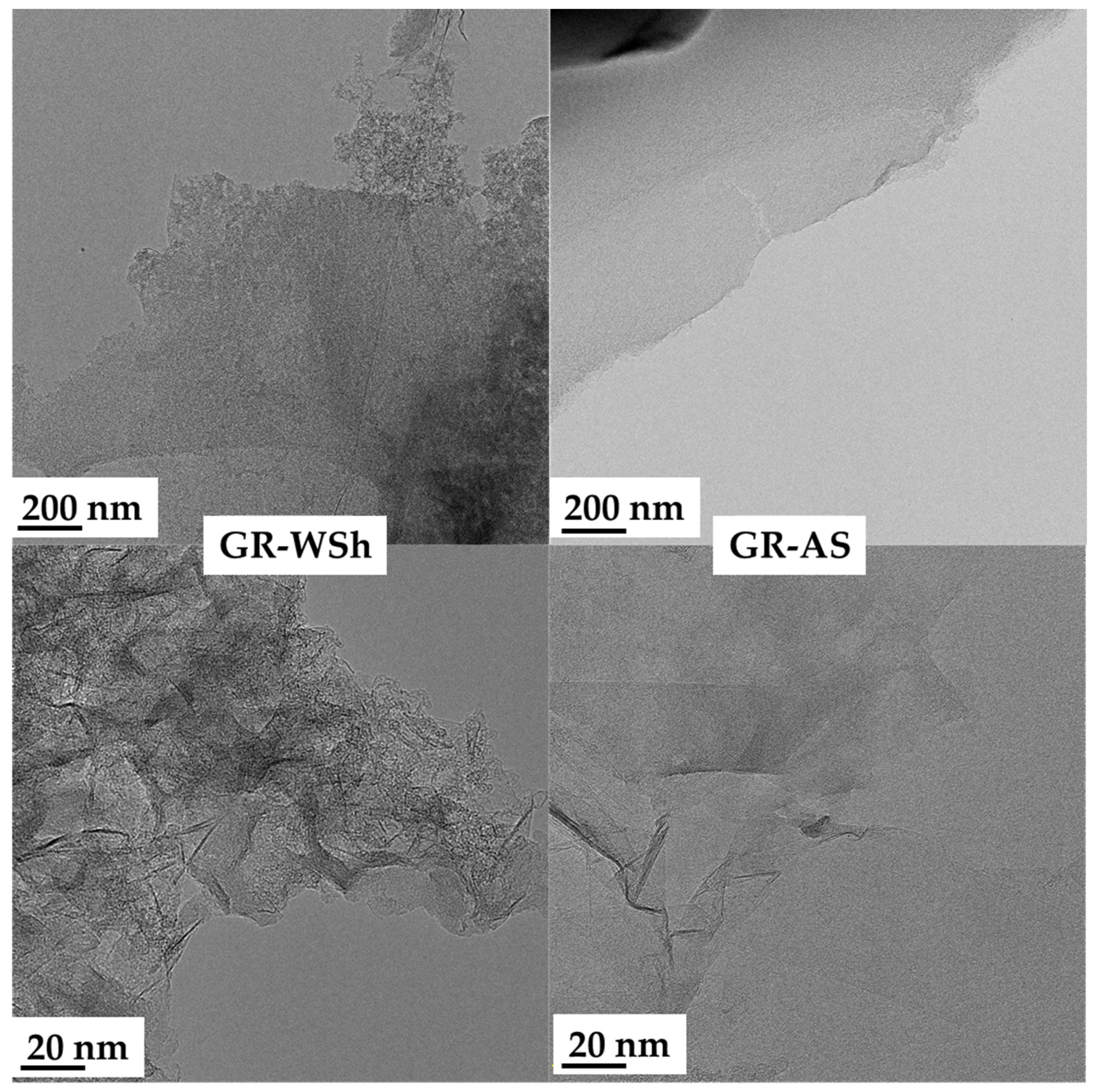 Ijms 26 11255 g006 Ijms 26 11255 g006