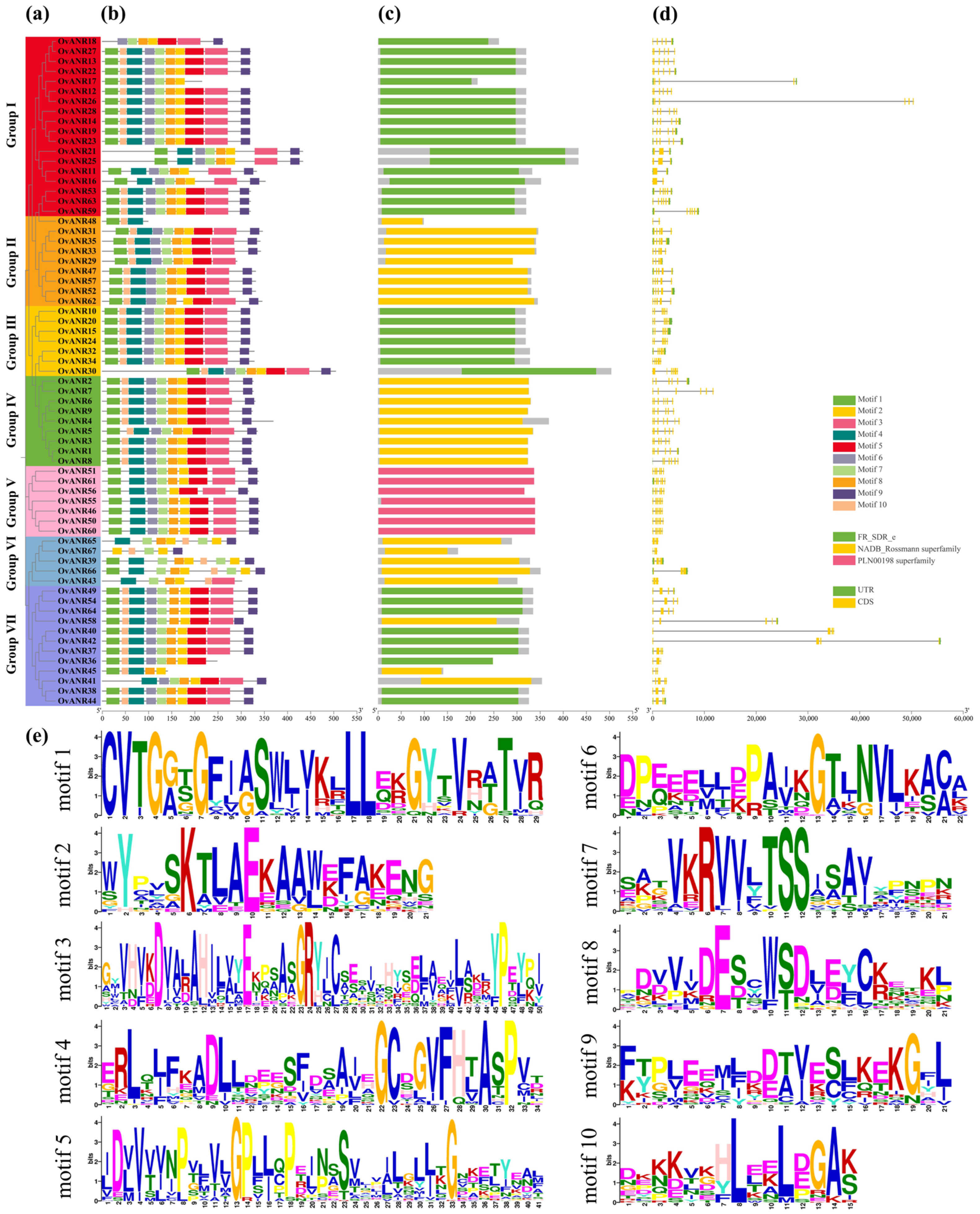 Ijms 26 11256 g001 Ijms 26 11256 g001