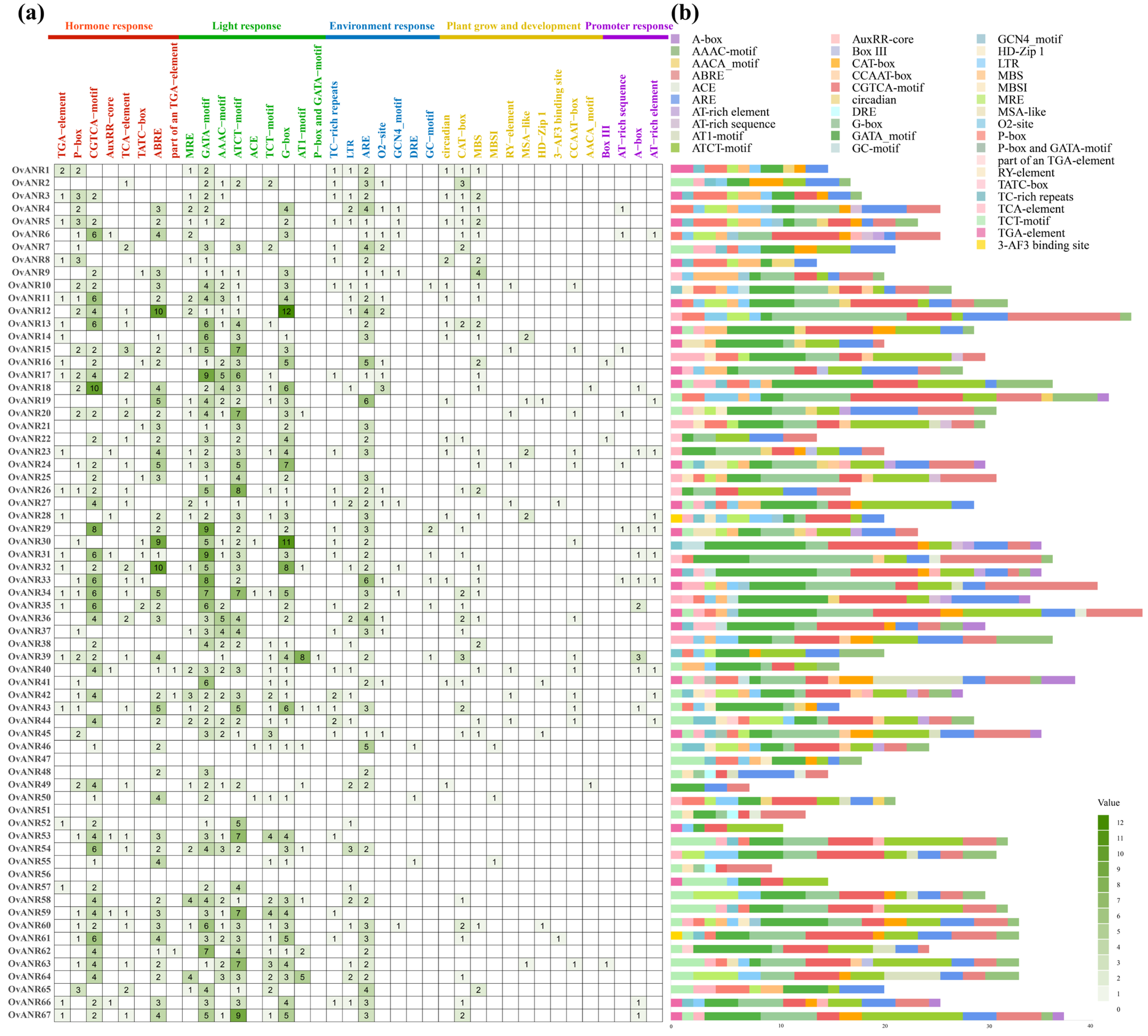 Ijms 26 11256 g002 Ijms 26 11256 g002