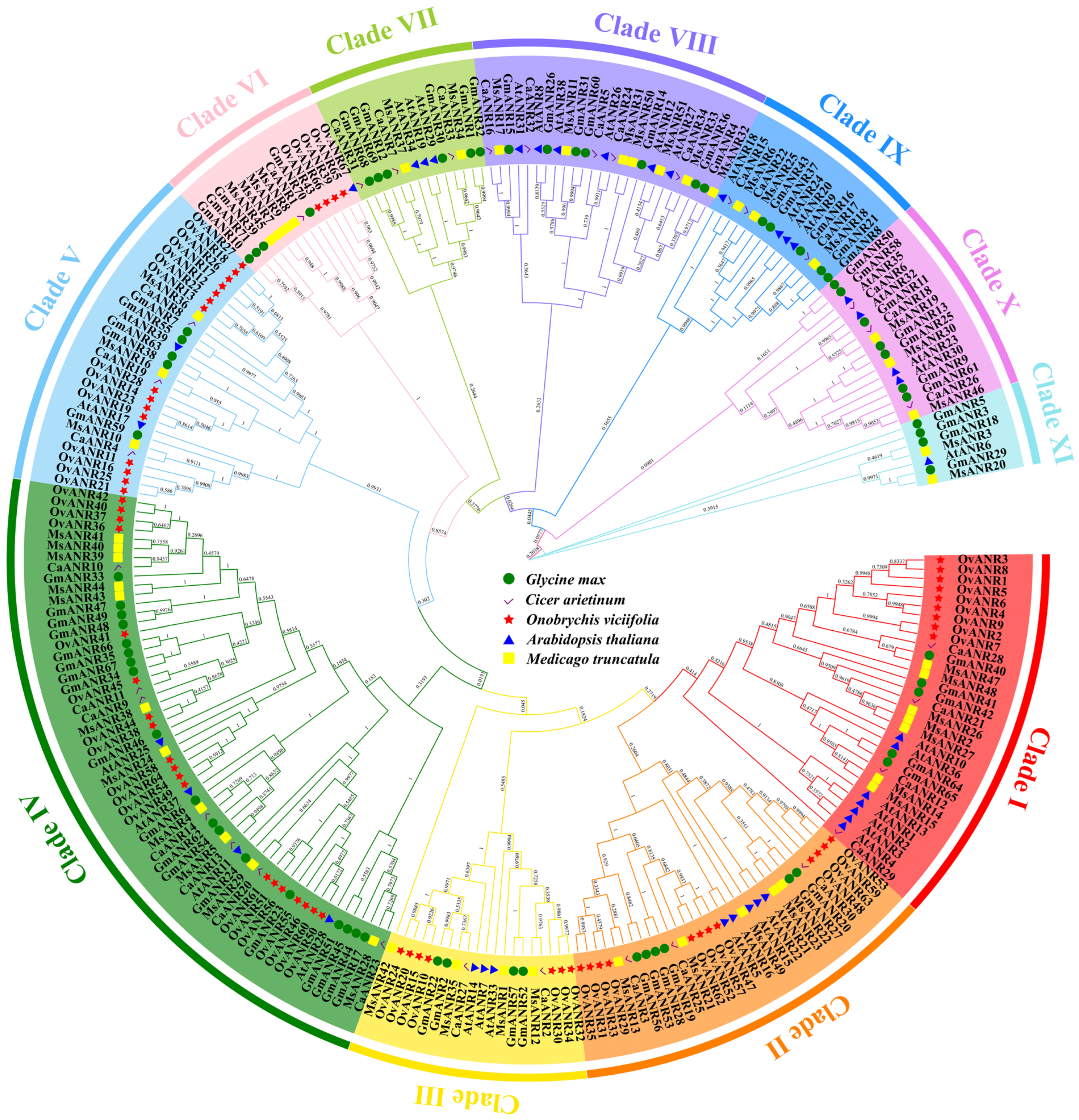 Ijms 26 11256 g003 Ijms 26 11256 g003