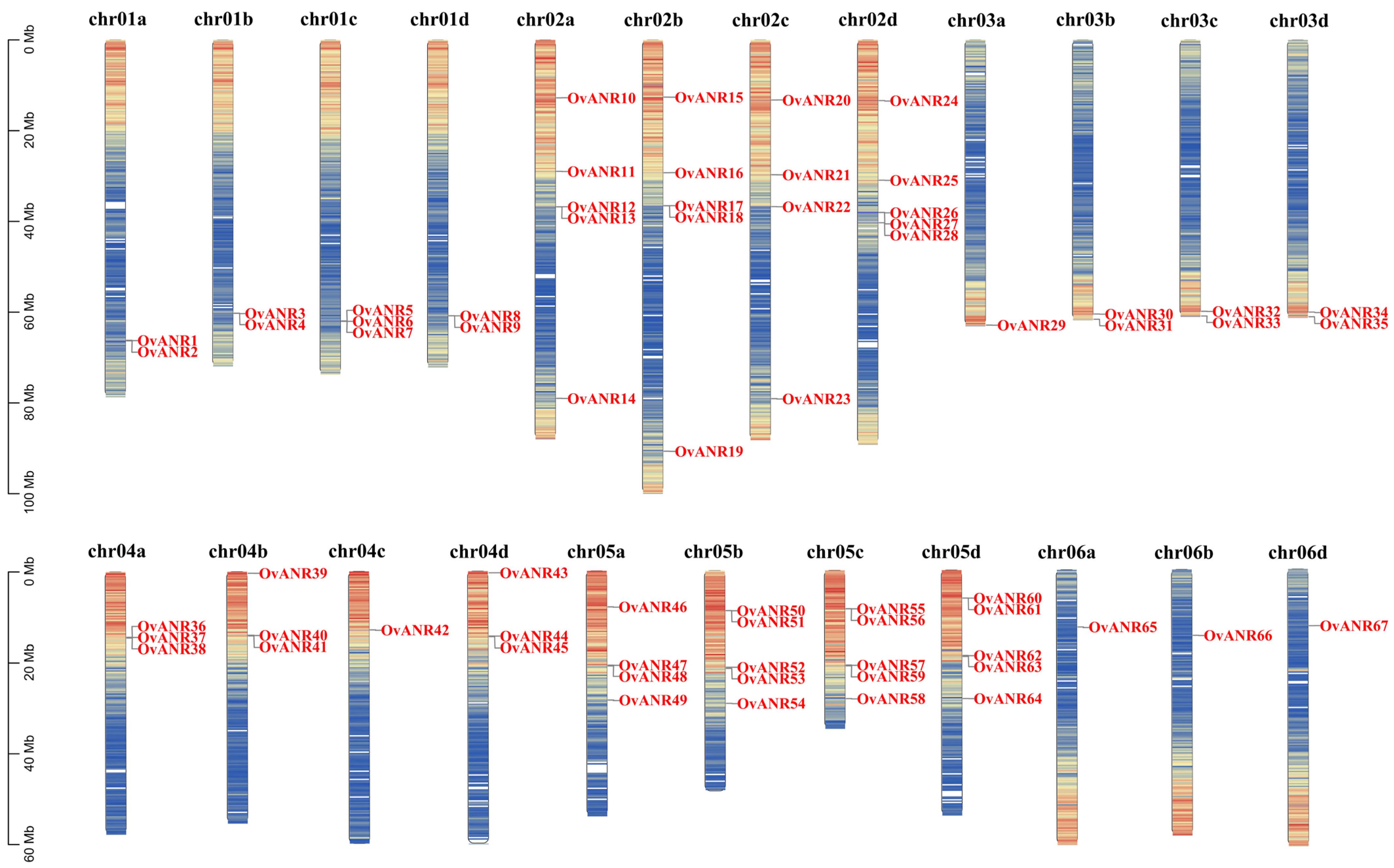 Ijms 26 11256 g004 Ijms 26 11256 g004