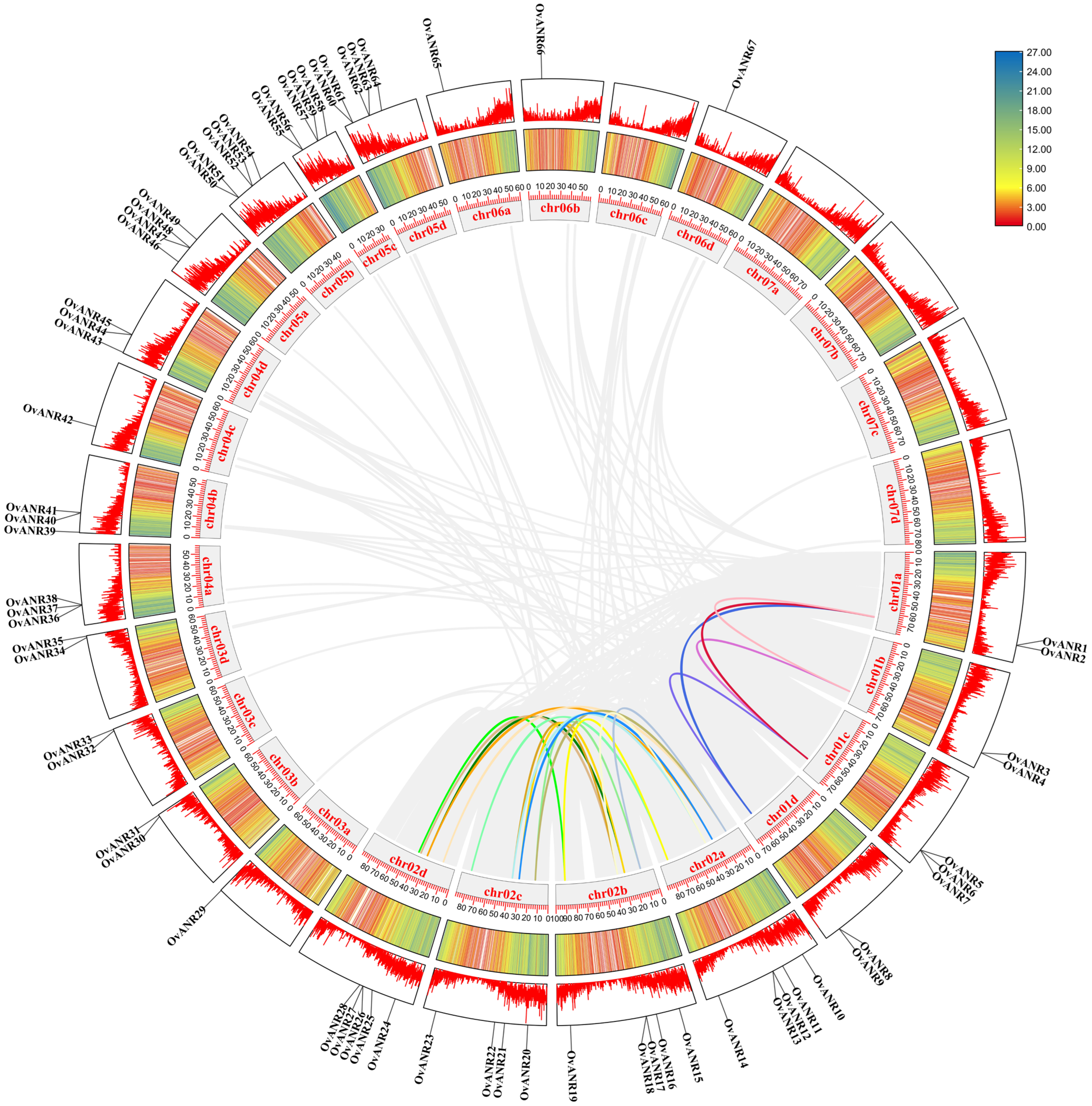 Ijms 26 11256 g005 Ijms 26 11256 g005