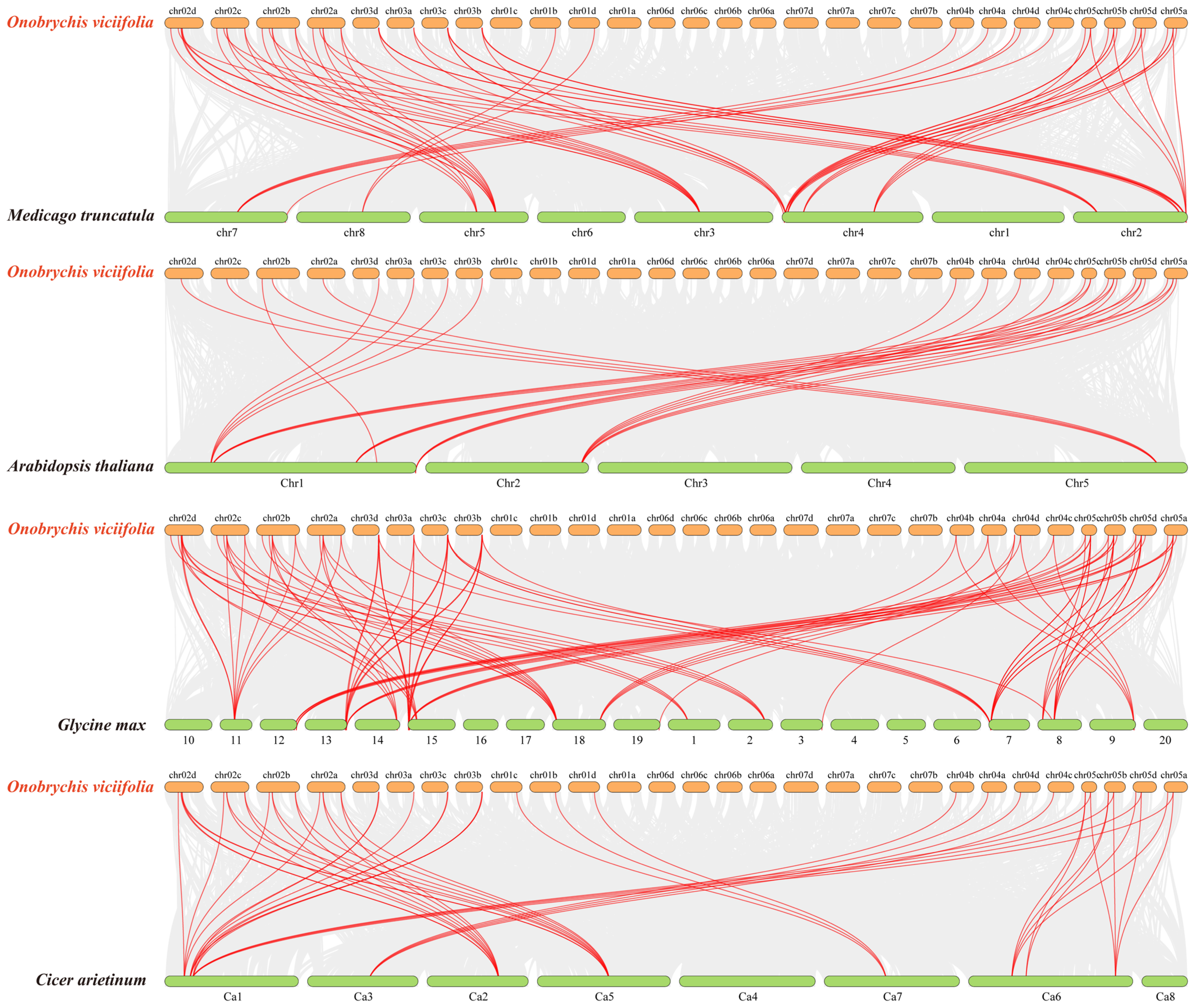 Ijms 26 11256 g006 Ijms 26 11256 g006