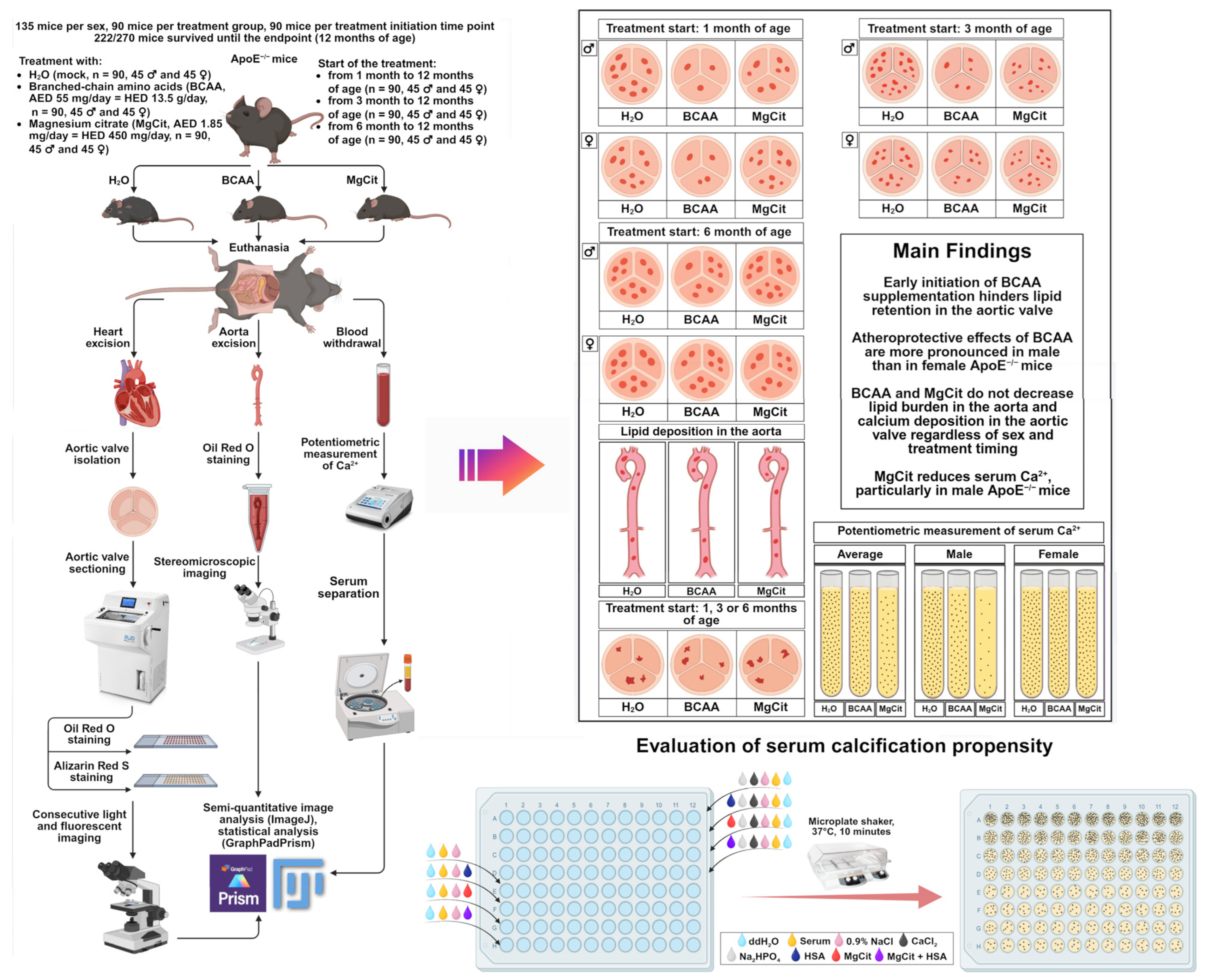 Ijms 26 11259 g009 Ijms 26 11259 g009