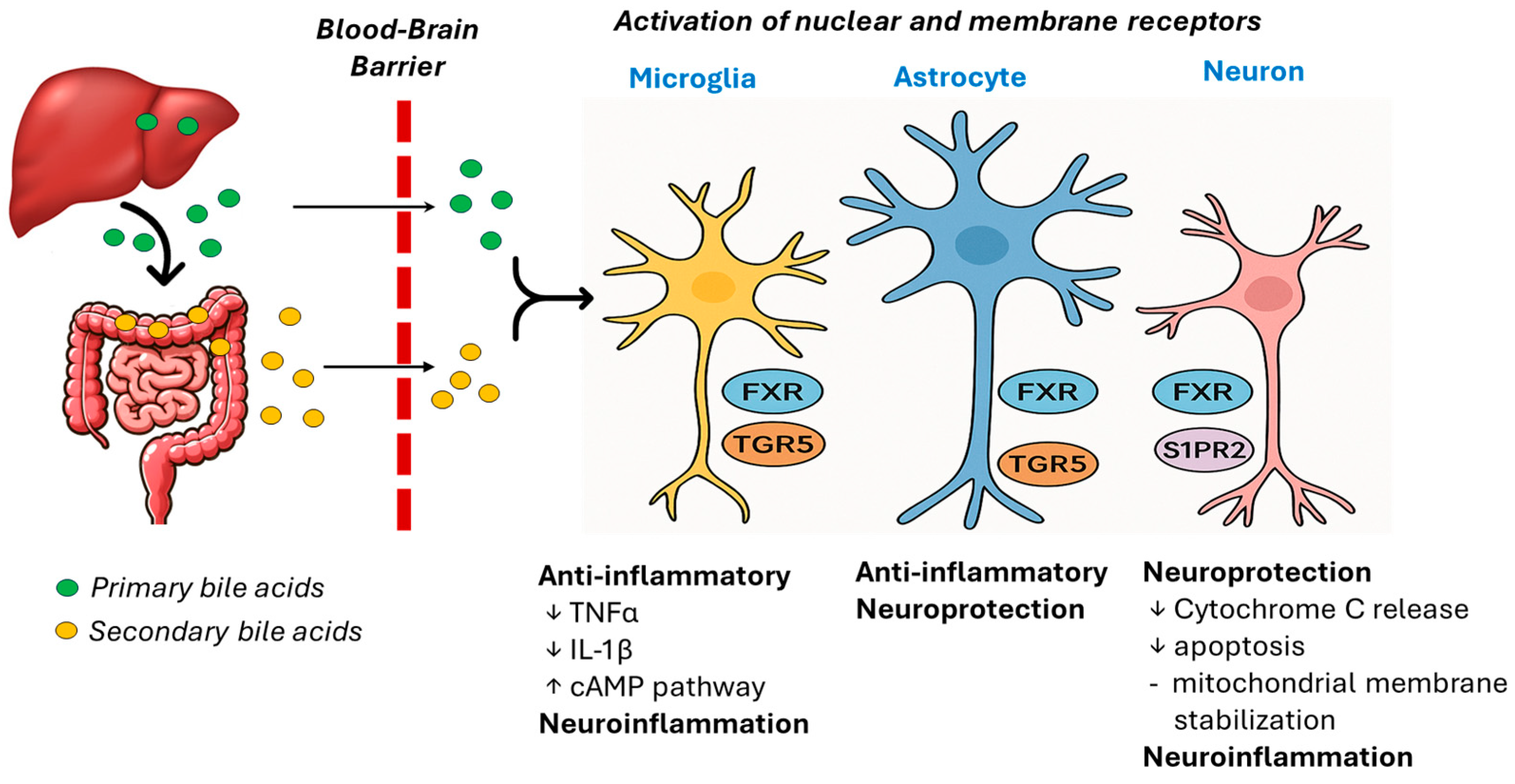 Ijms 26 11301 g001 Ijms 26 11301 g001