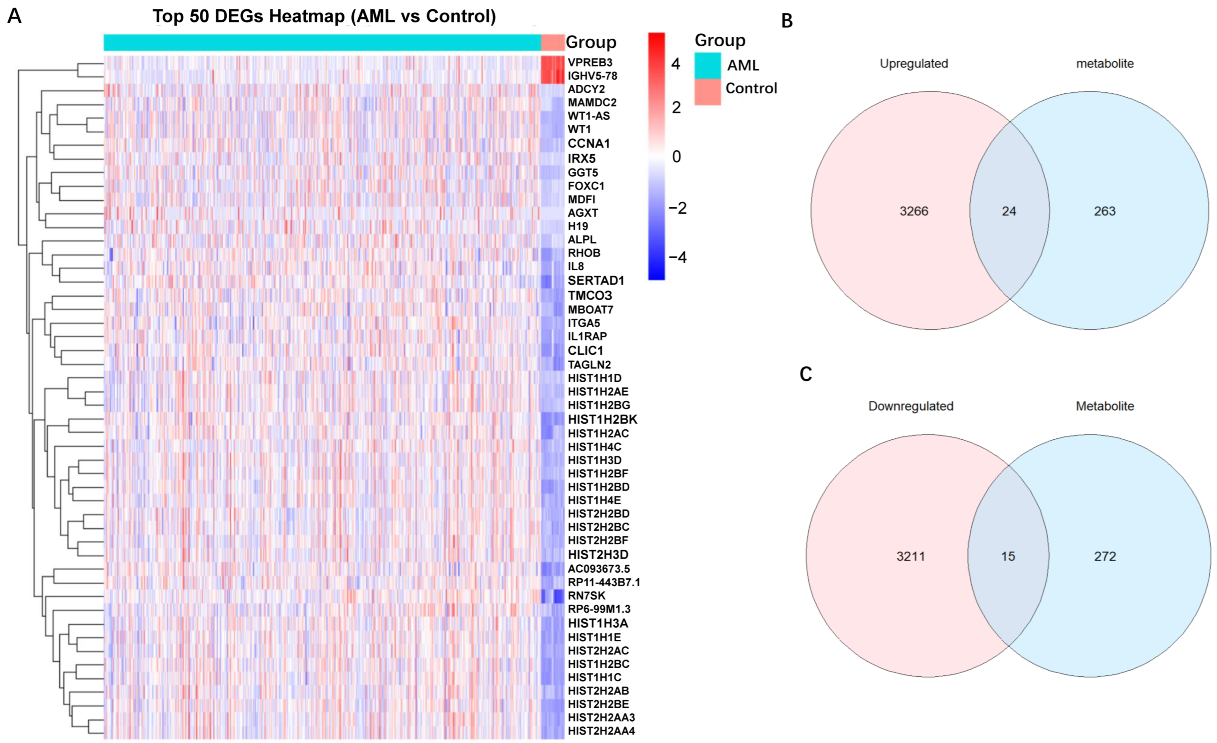 Ijms 26 11307 g004 Ijms 26 11307 g004