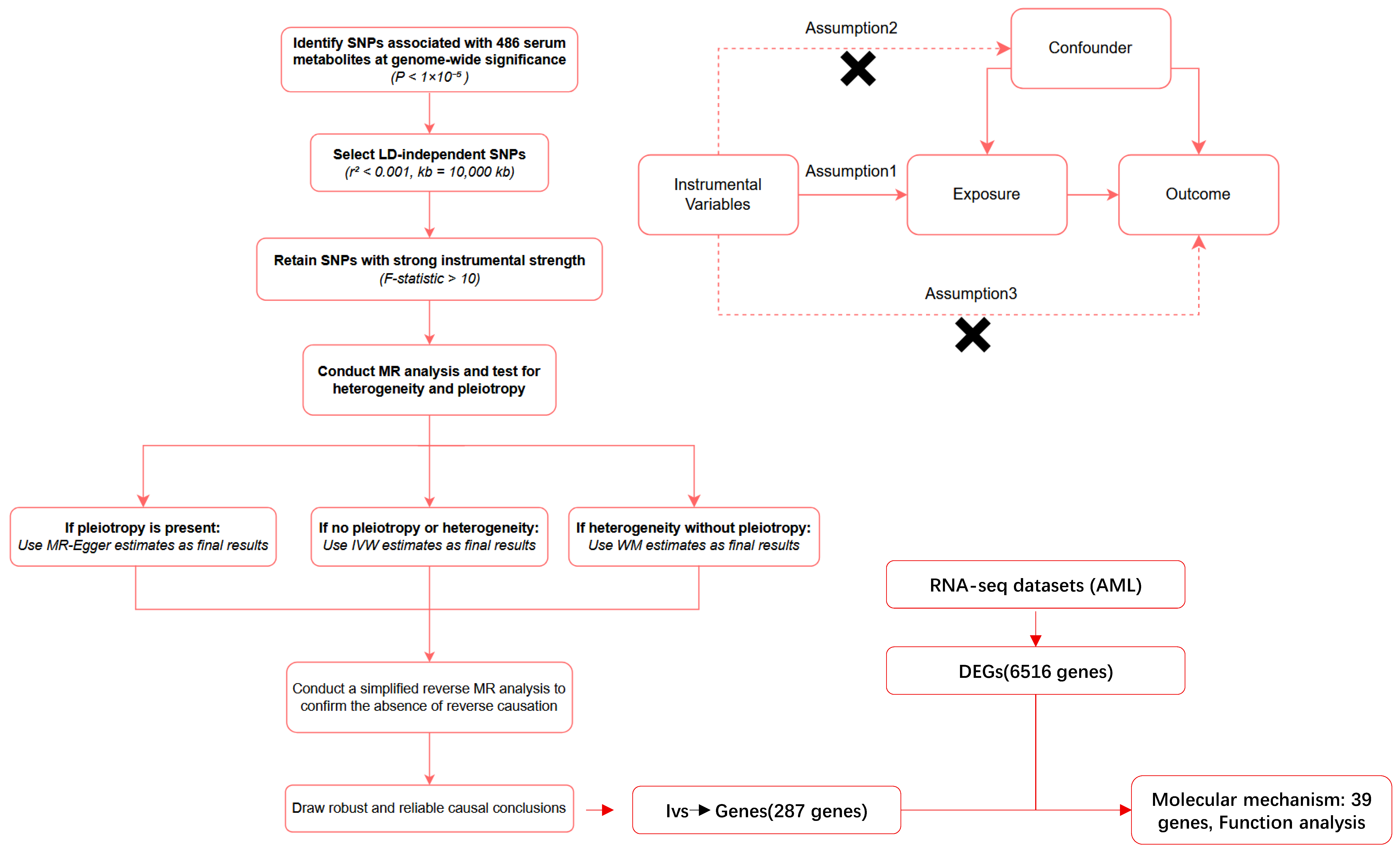 Ijms 26 11307 g006 Ijms 26 11307 g006