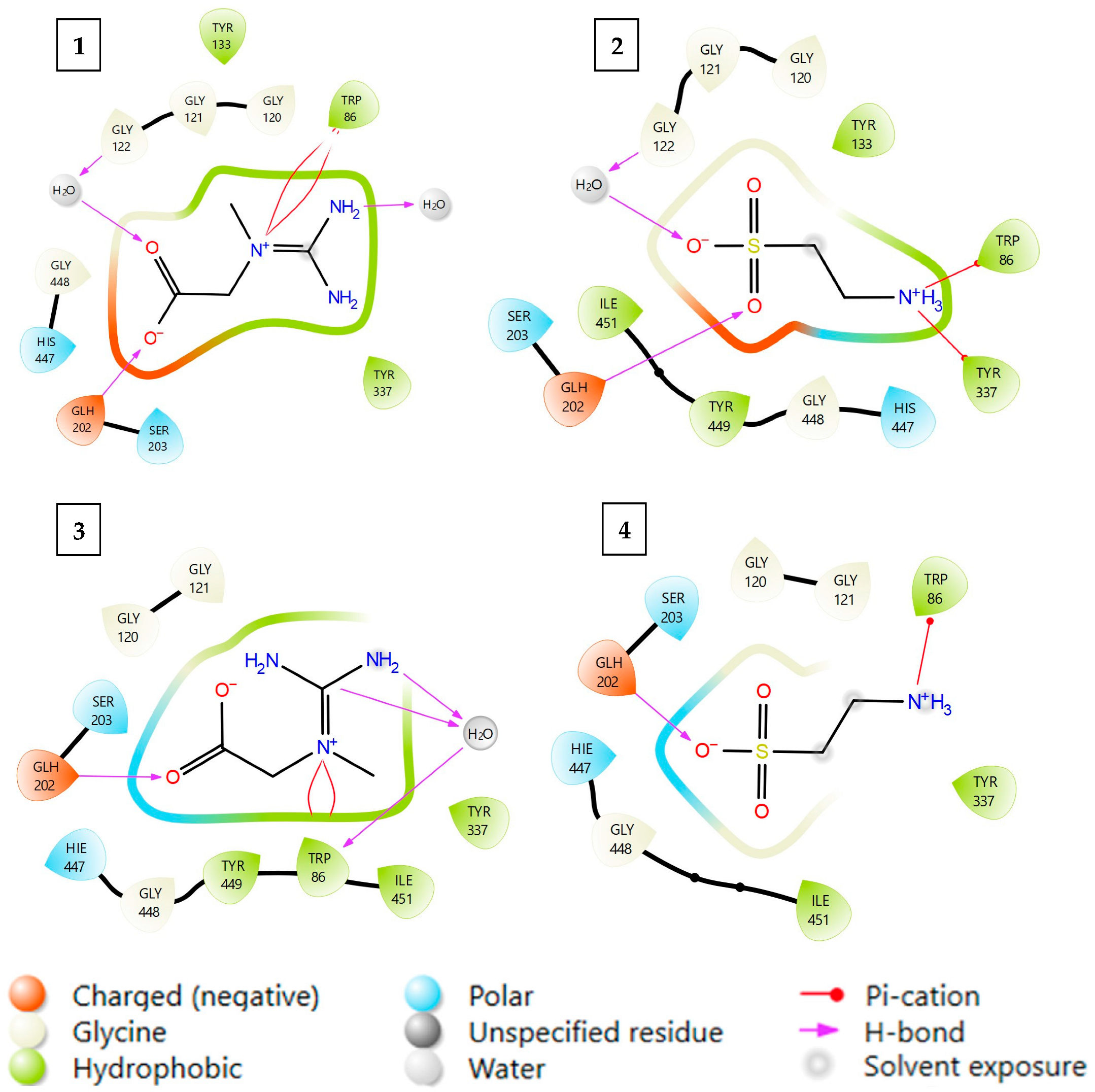 Ijms 26 11309 g004 Ijms 26 11309 g004