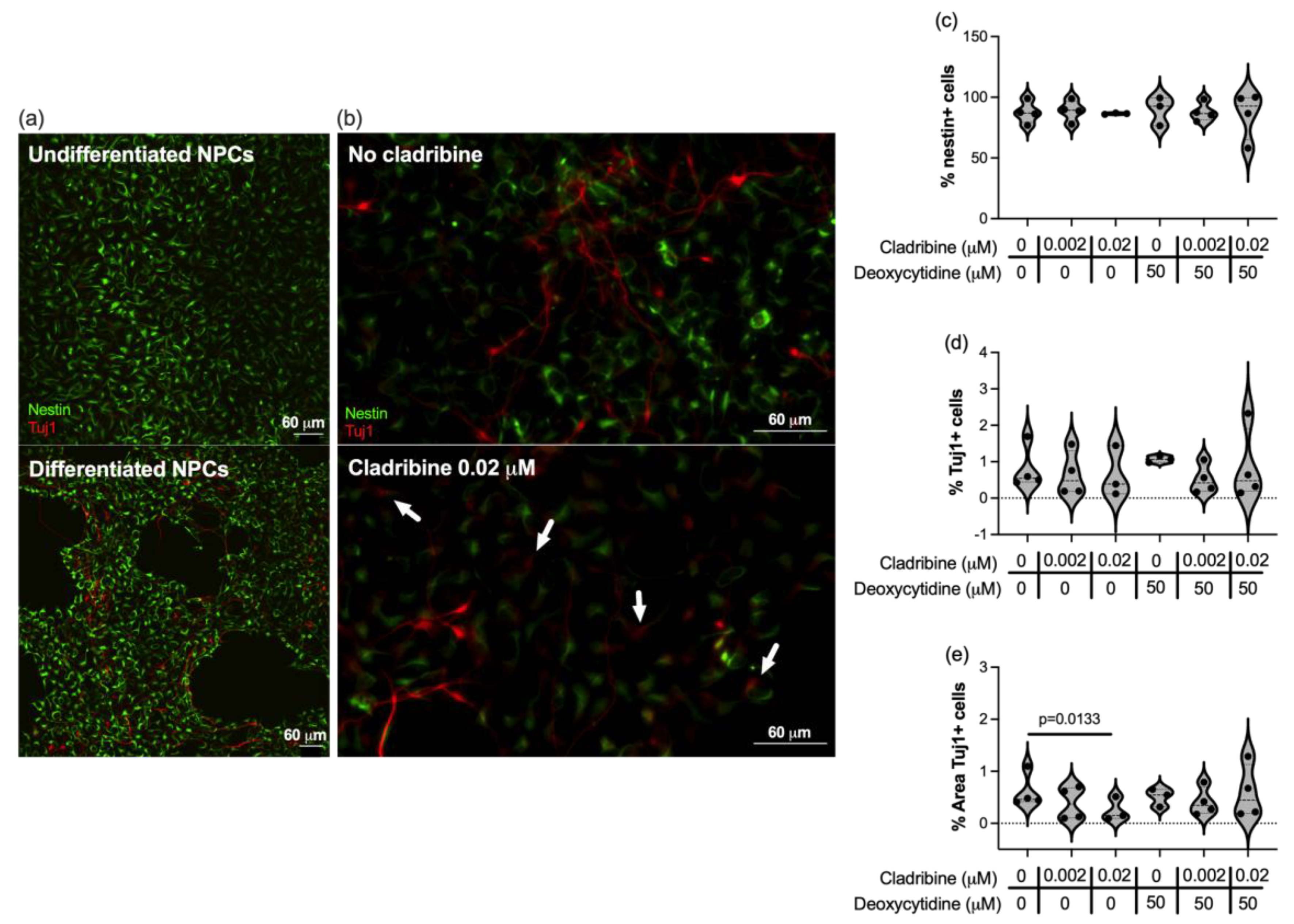 Ijms 26 11311 g005 Ijms 26 11311 g005