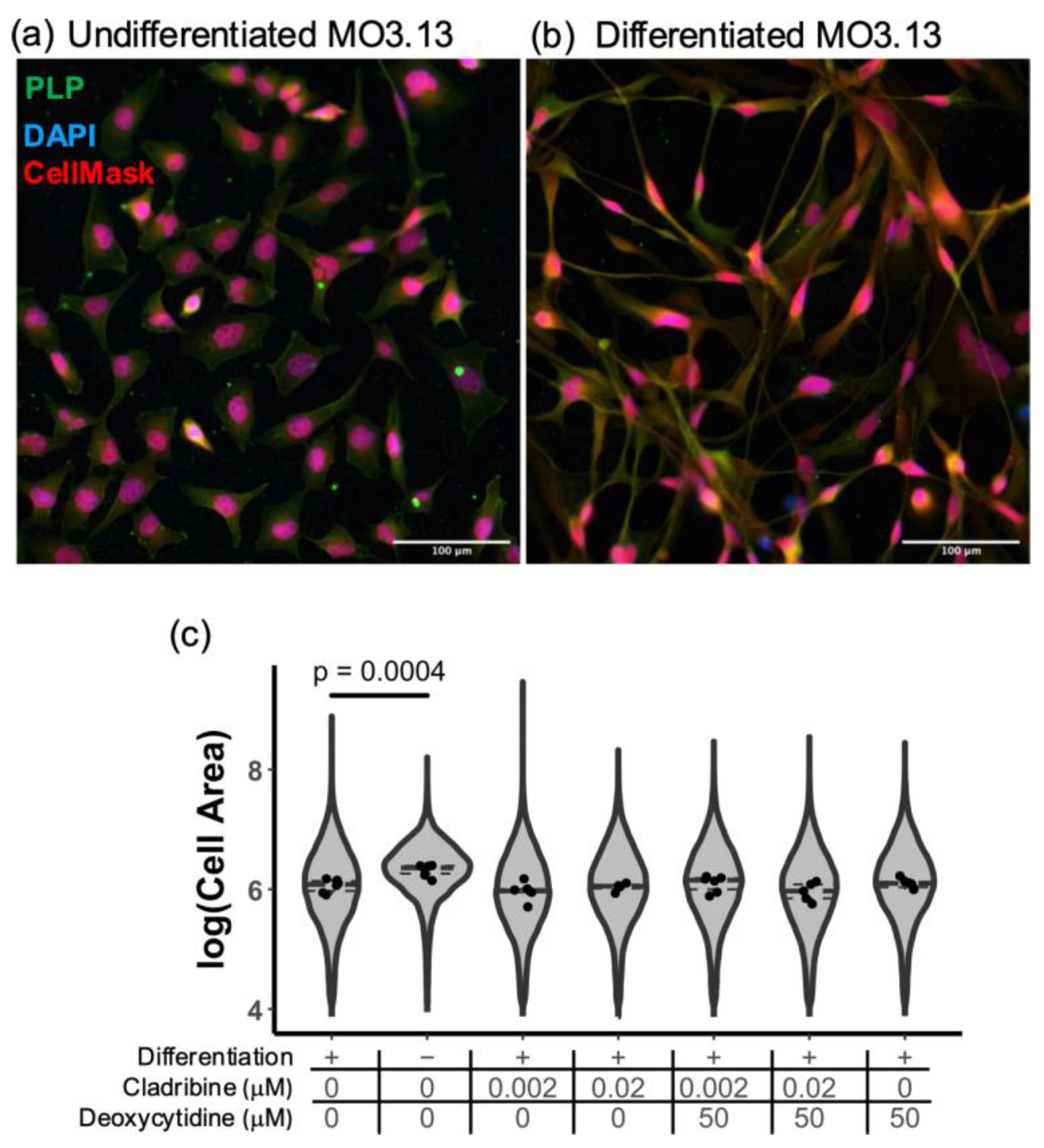 Ijms 26 11311 g006 Ijms 26 11311 g006