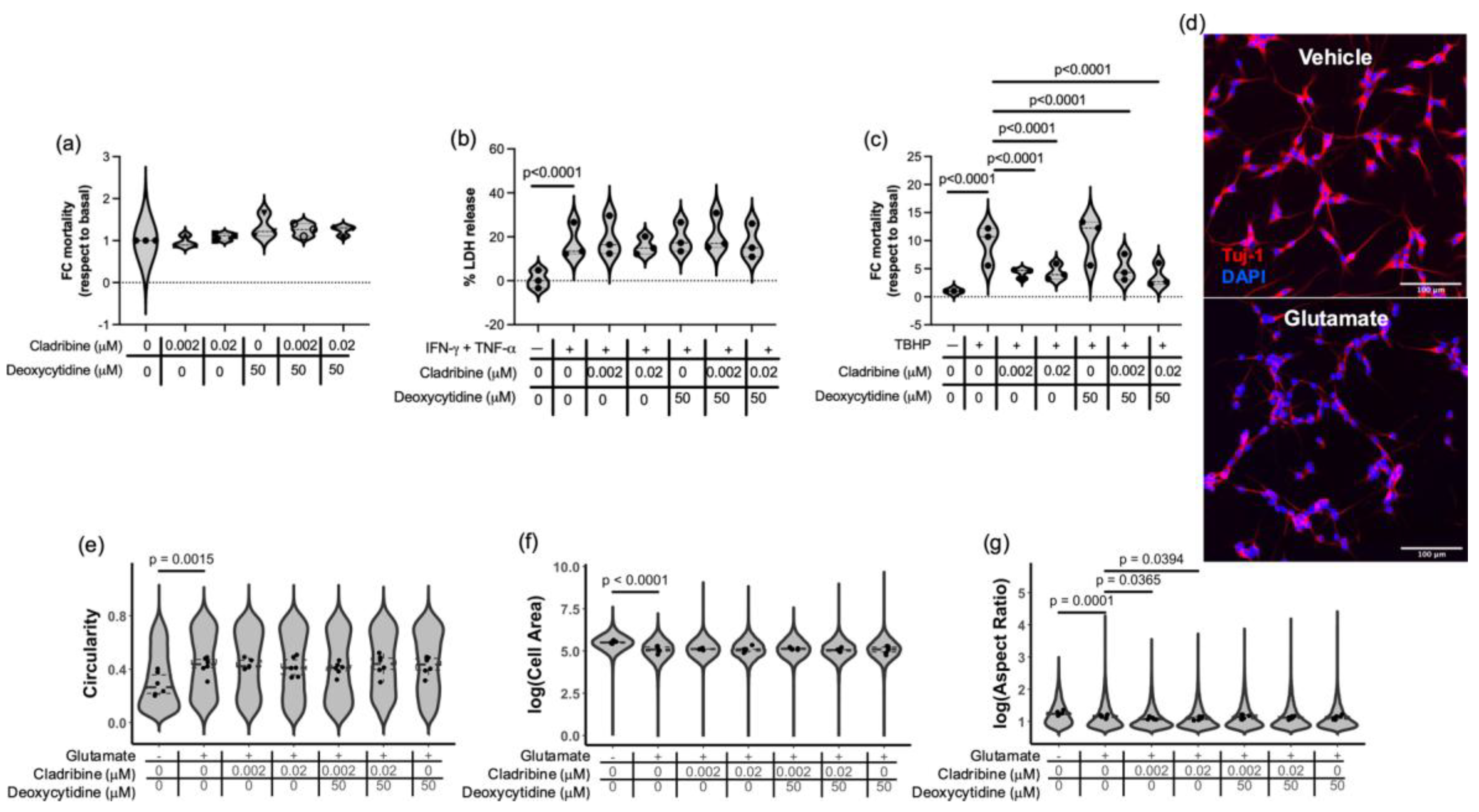 Ijms 26 11311 g007 Ijms 26 11311 g007