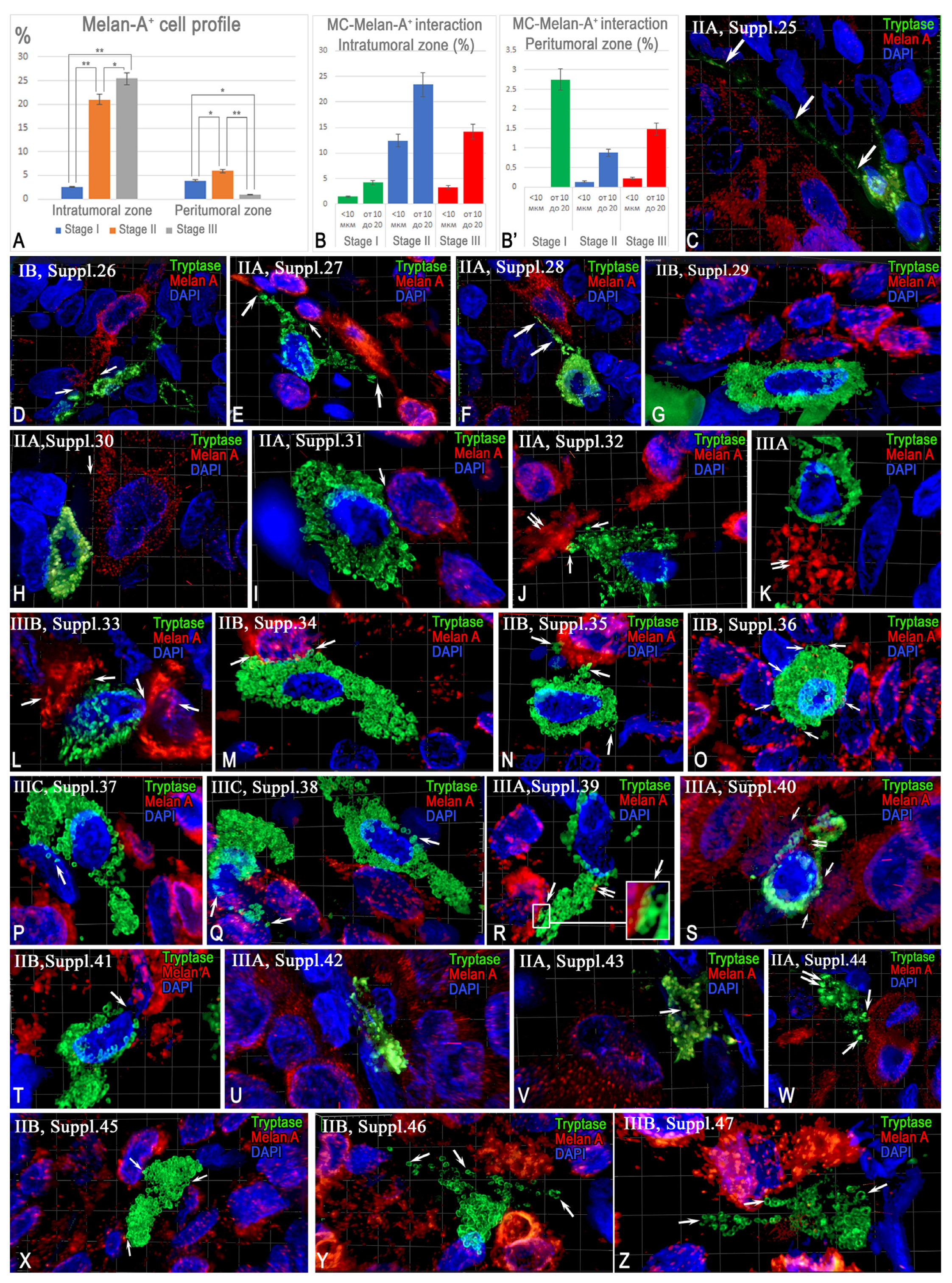Ijms 26 11313 g005 Ijms 26 11313 g005