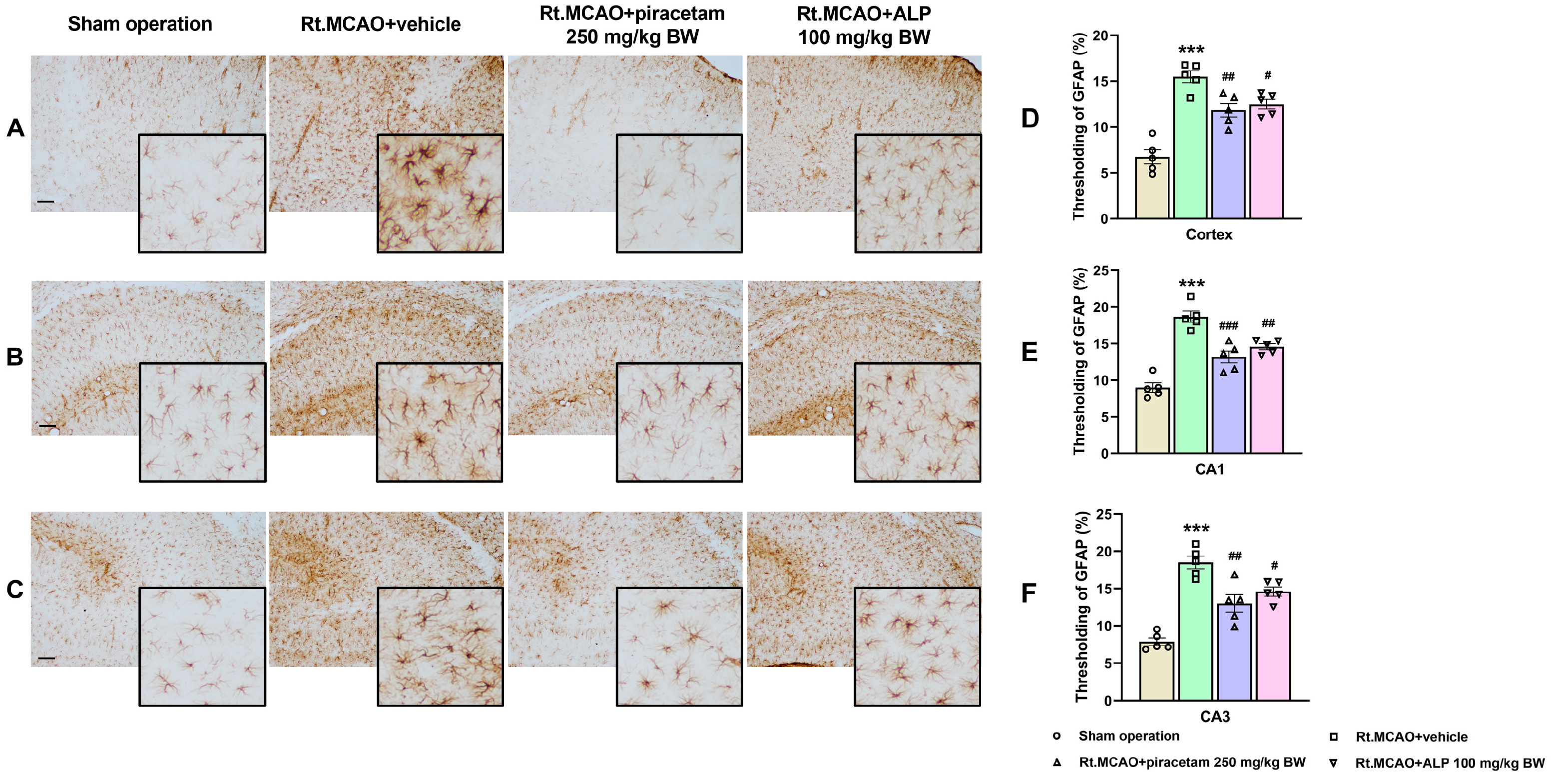 Ijms 26 11329 g001 Ijms 26 11329 g001