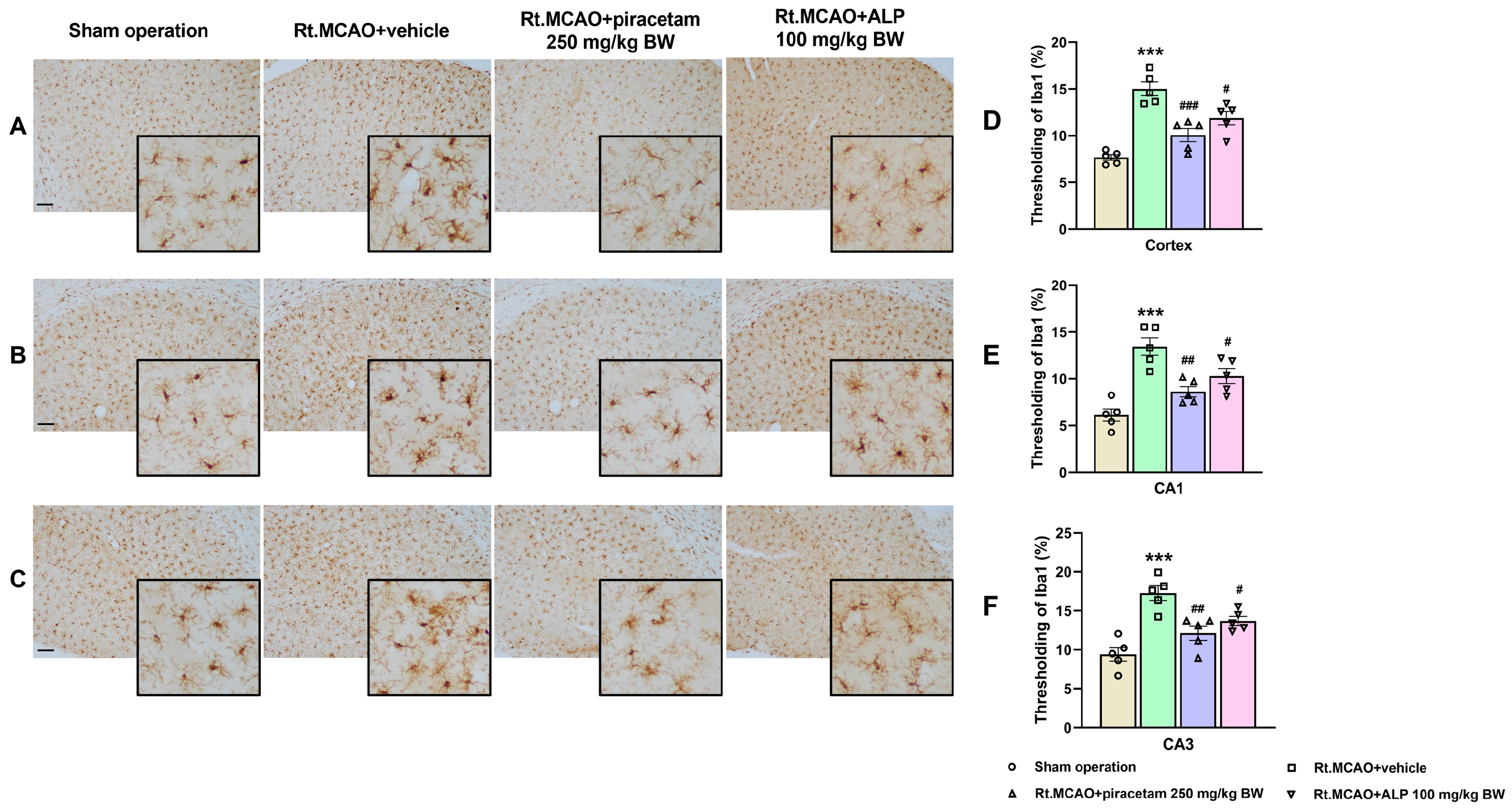 Ijms 26 11329 g002 Ijms 26 11329 g002
