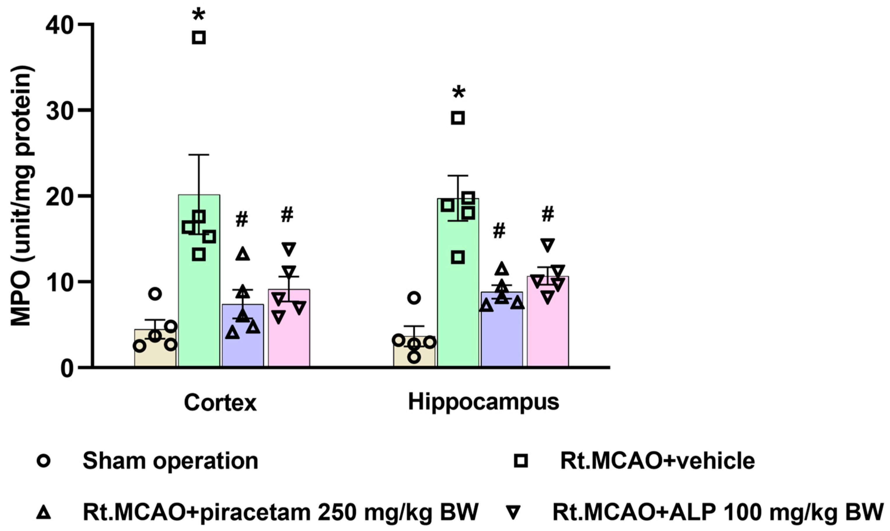 Ijms 26 11329 g004 Ijms 26 11329 g004