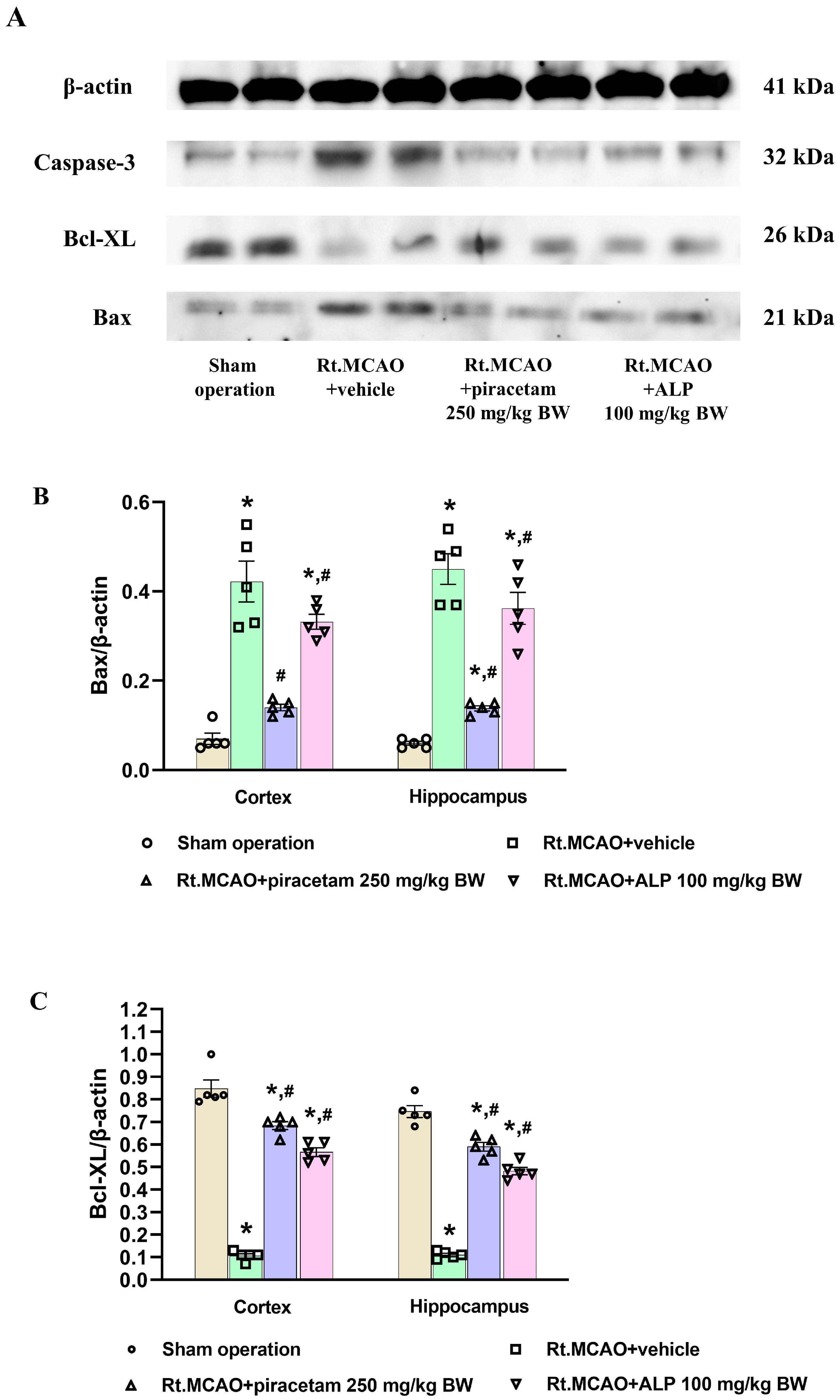 Ijms 26 11329 g006a Ijms 26 11329 g006a