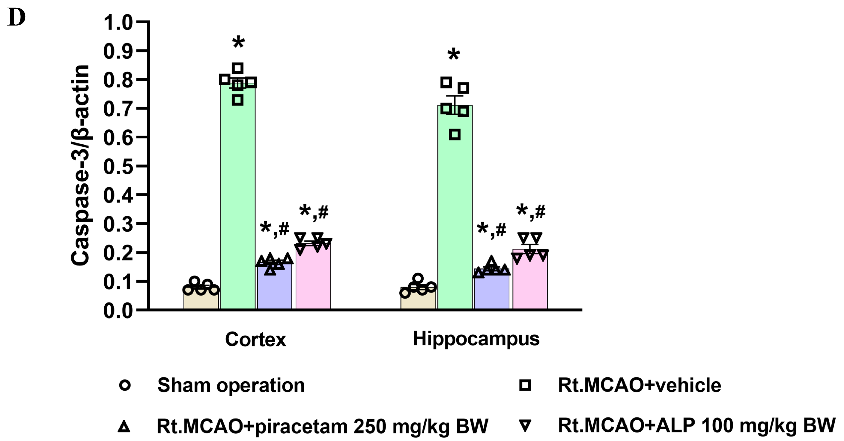 Ijms 26 11329 g006b Ijms 26 11329 g006b