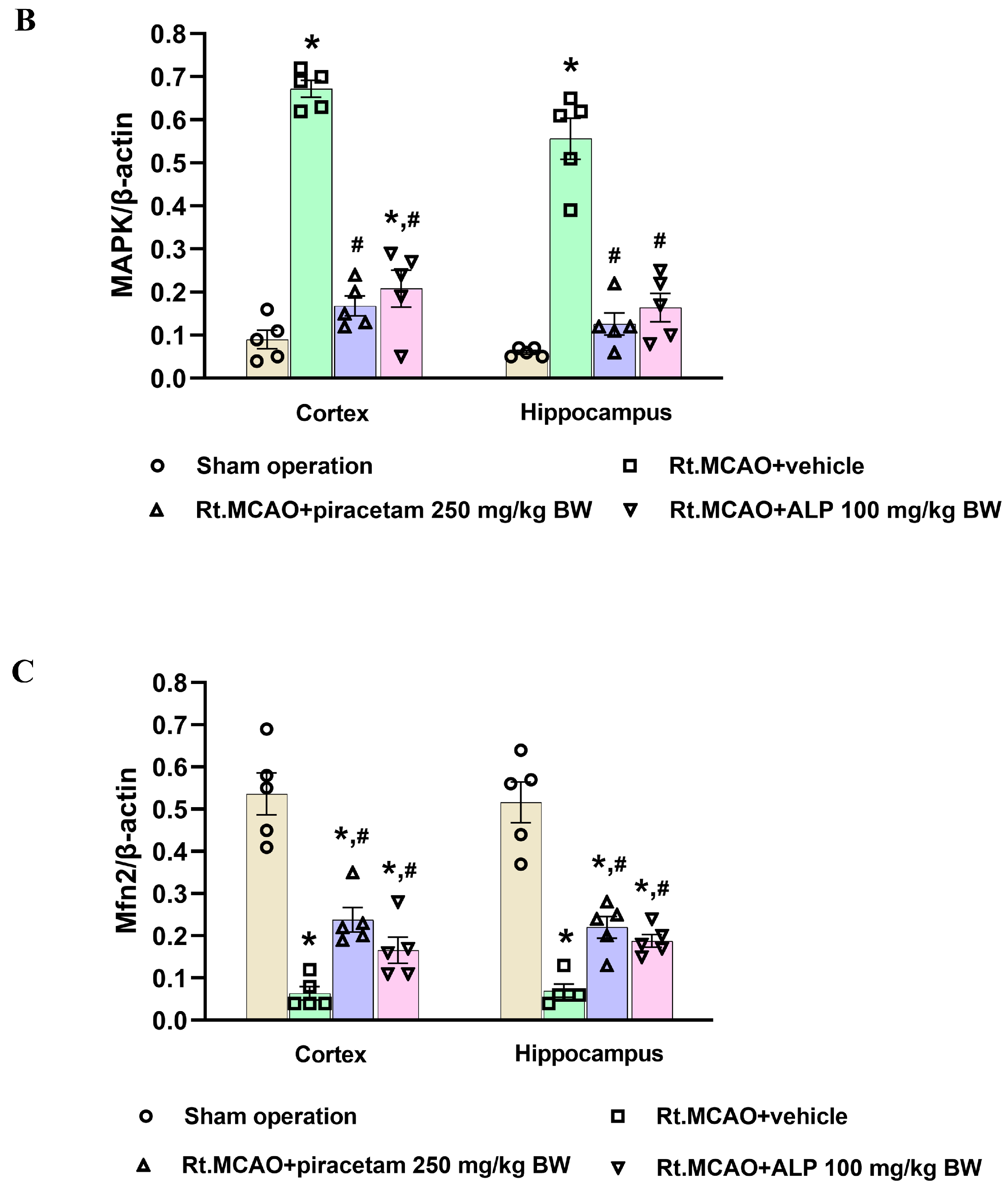 Ijms 26 11329 g007b Ijms 26 11329 g007b