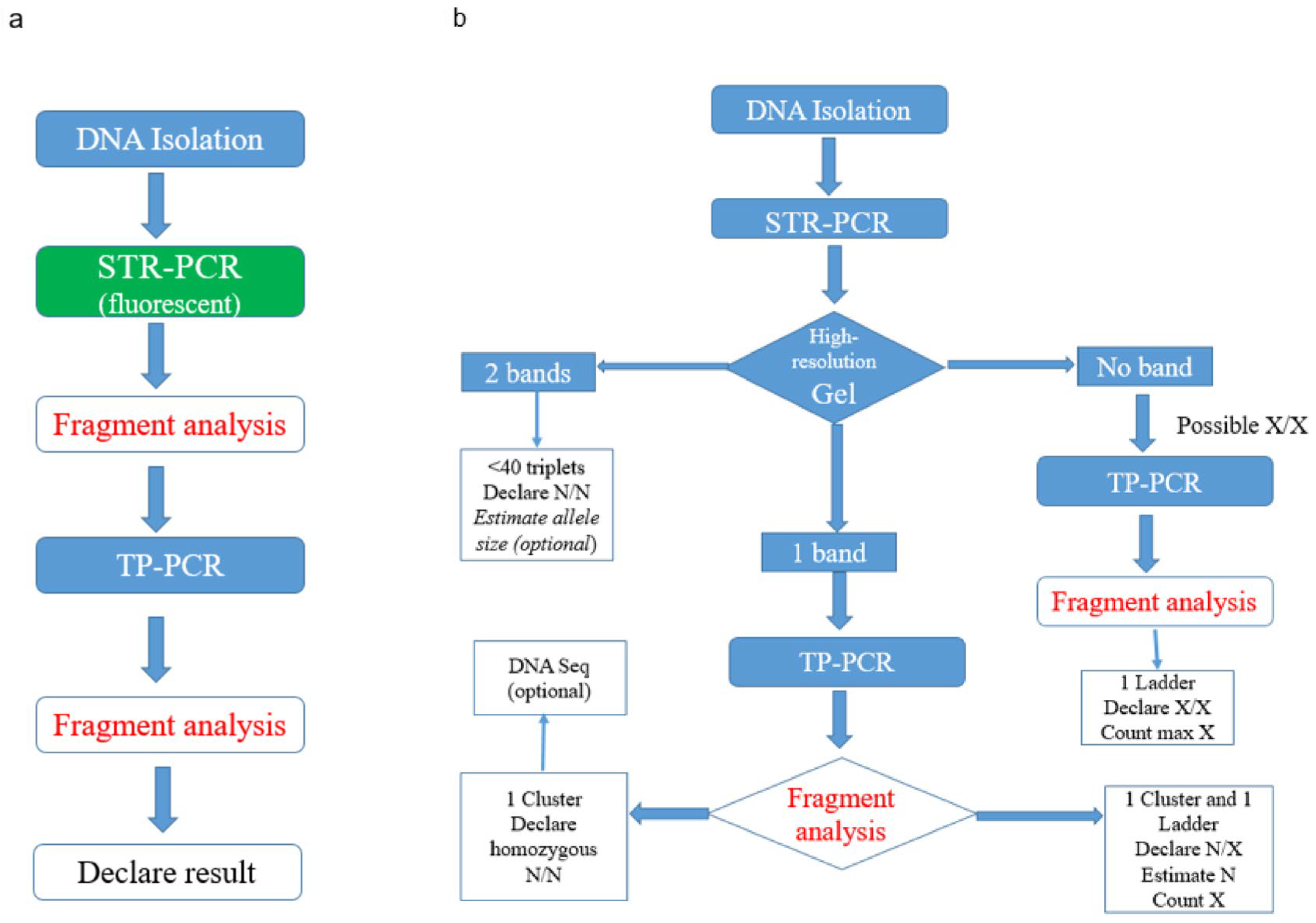 Ijms 26 11356 g001 Ijms 26 11356 g001