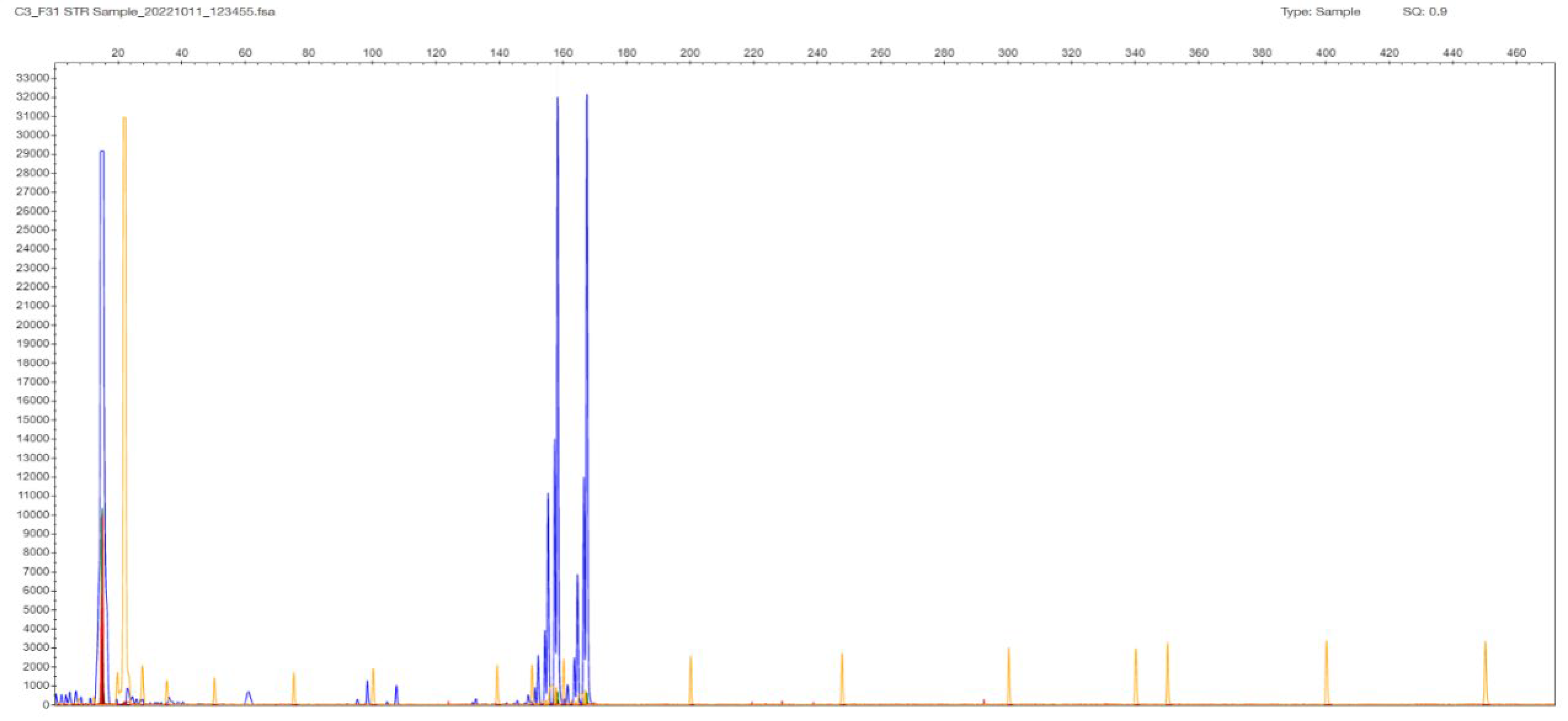 Ijms 26 11356 g002 Ijms 26 11356 g002