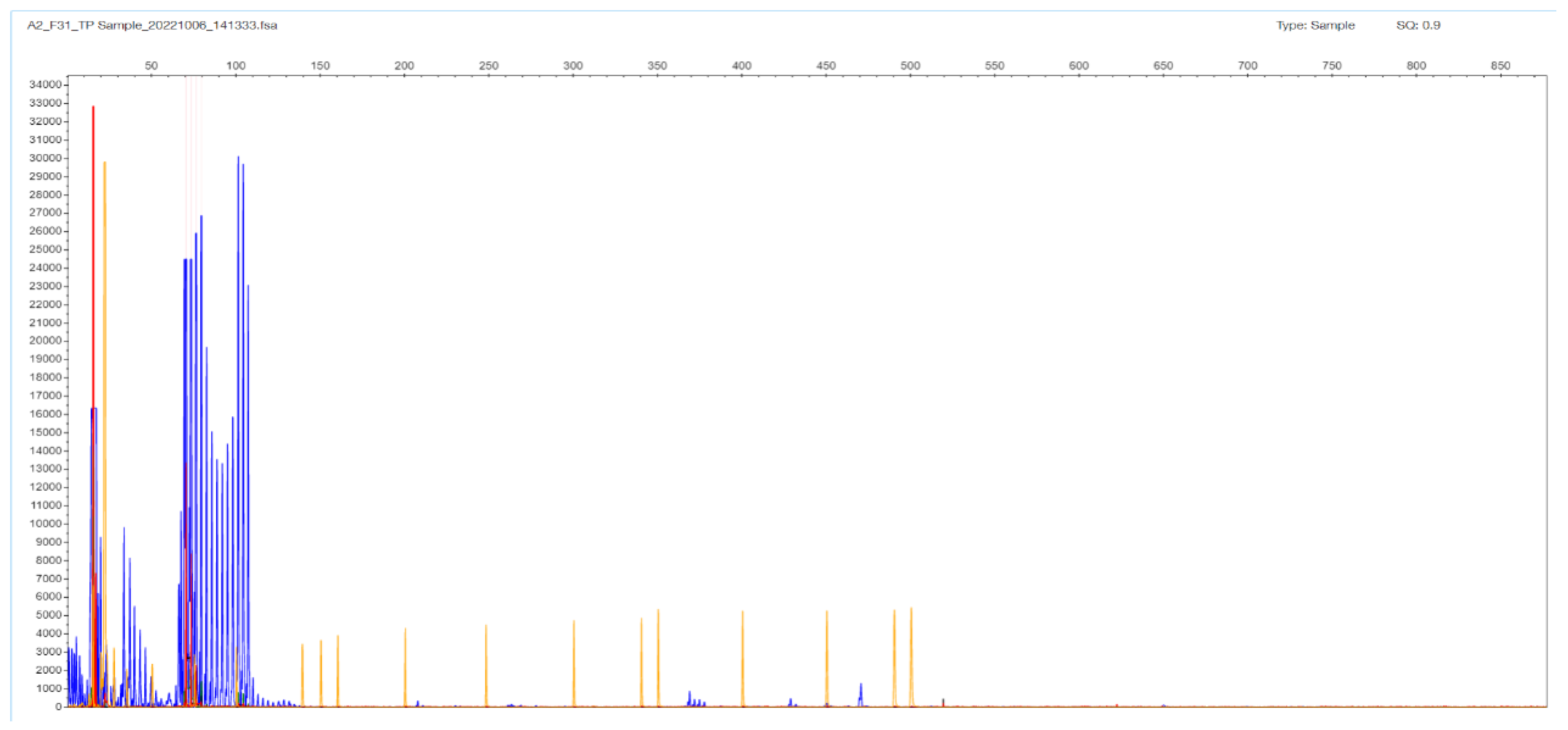 Ijms 26 11356 g003 Ijms 26 11356 g003