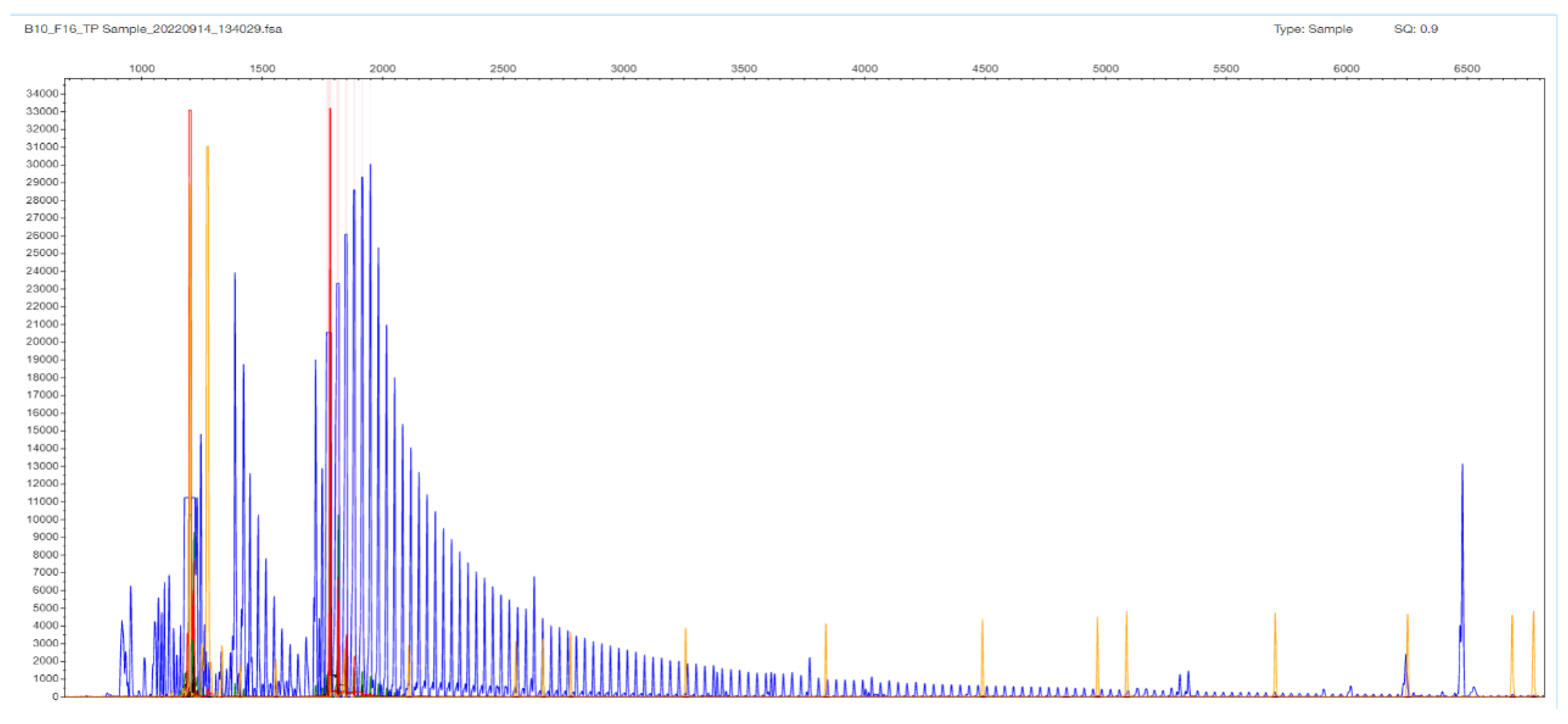 Ijms 26 11356 g006 Ijms 26 11356 g006