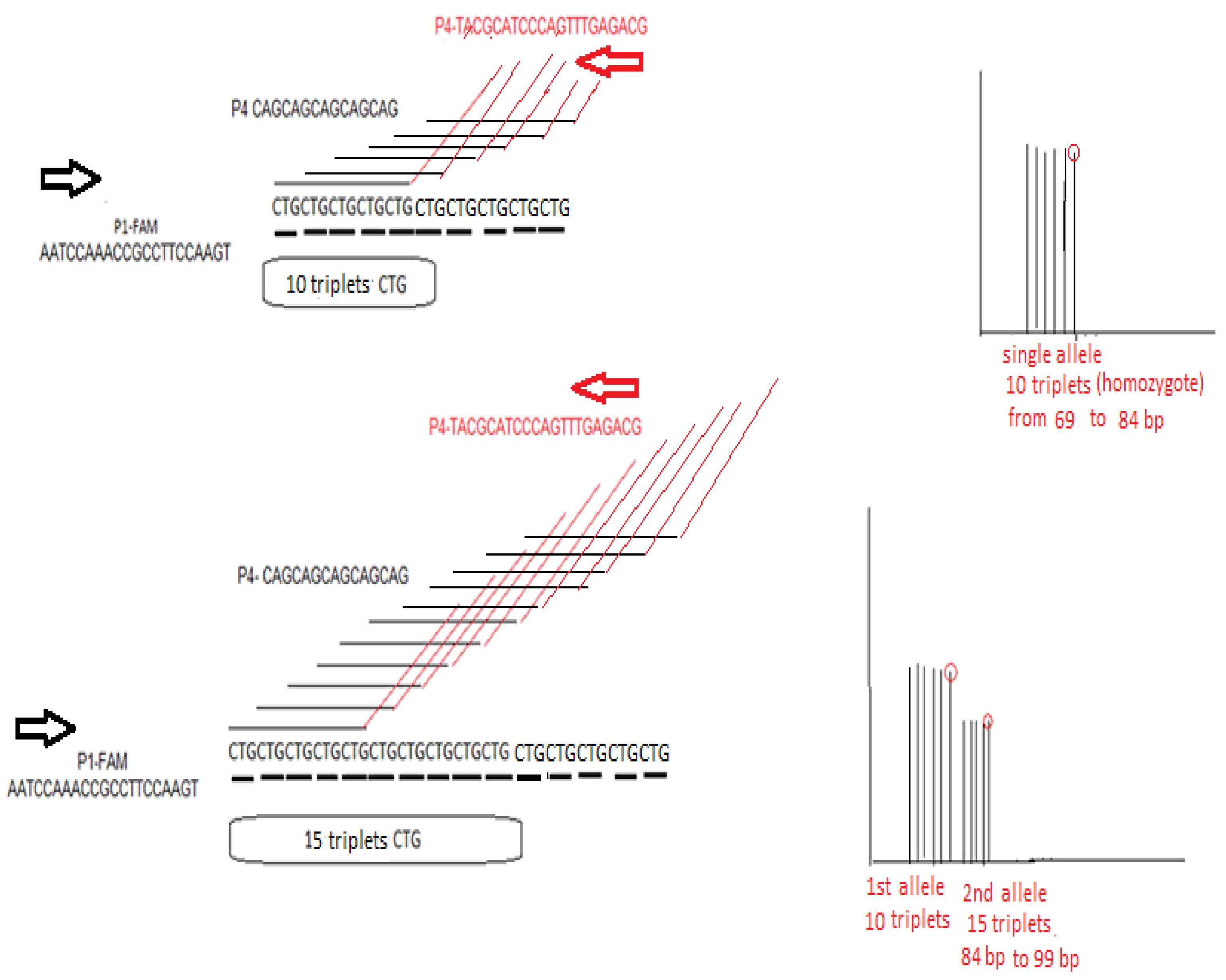 Ijms 26 11356 g007 Ijms 26 11356 g007