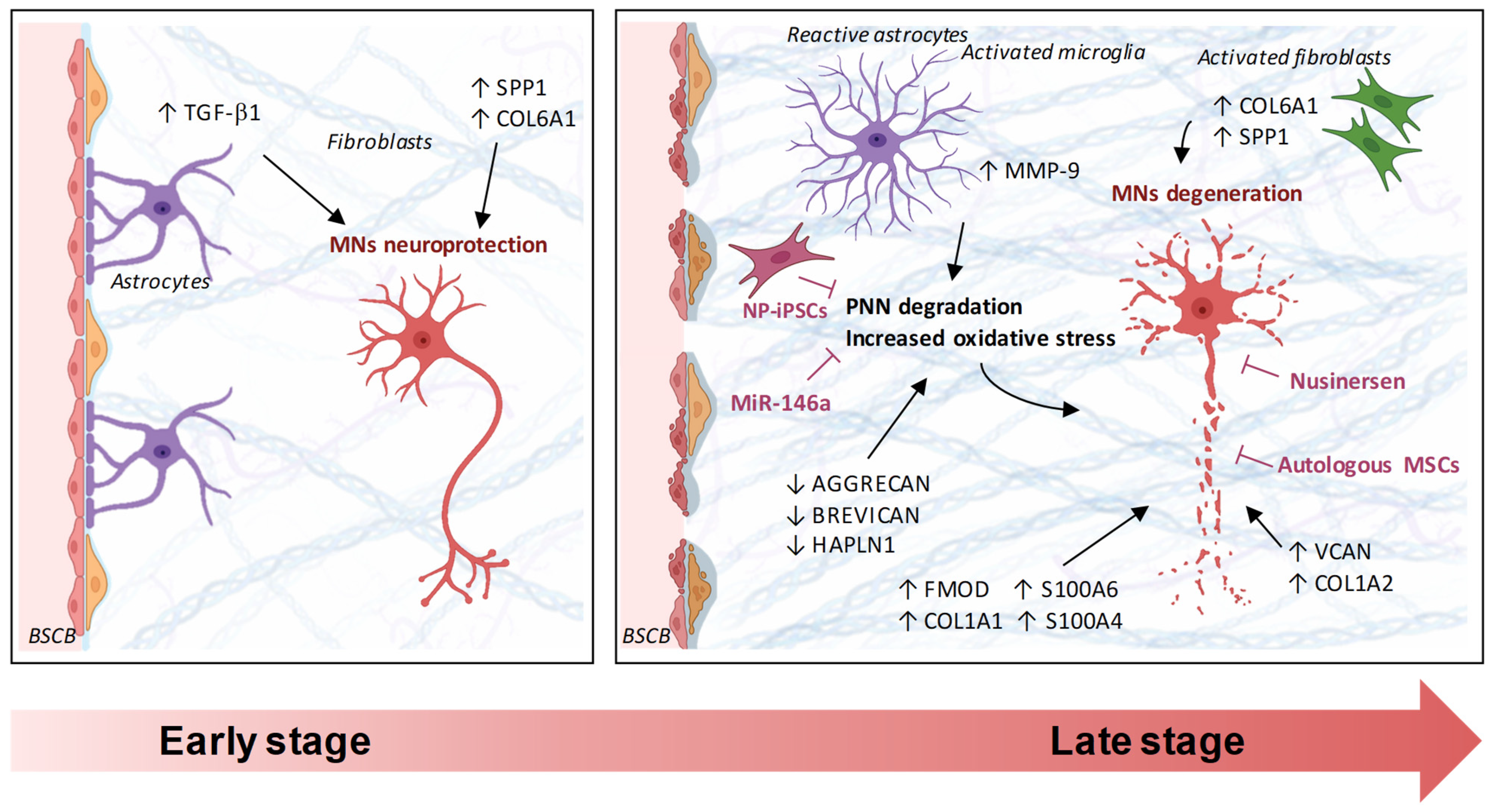 Ijms 26 11376 g001 Ijms 26 11376 g001