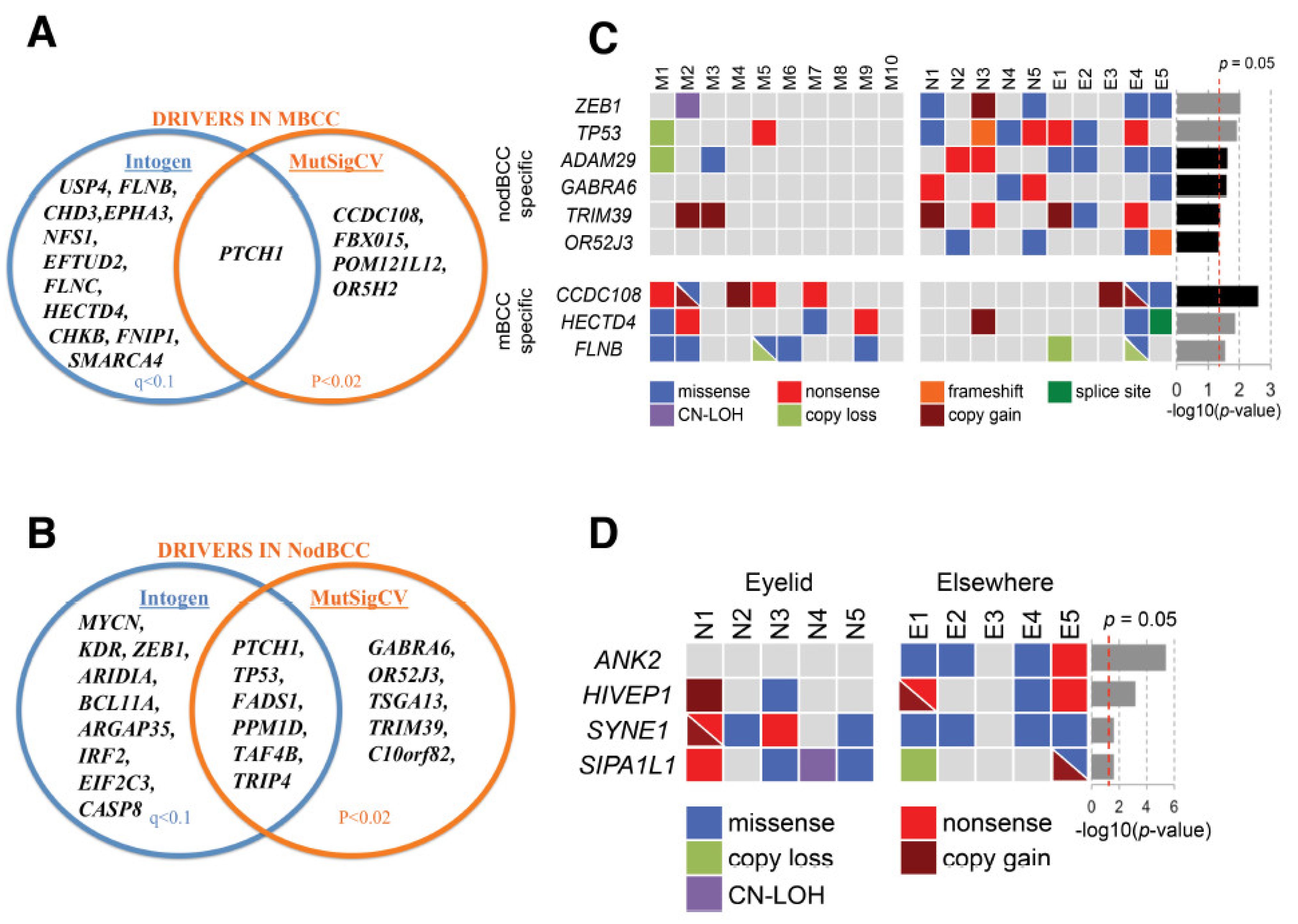 Ijms 26 11377 g001 Ijms 26 11377 g001