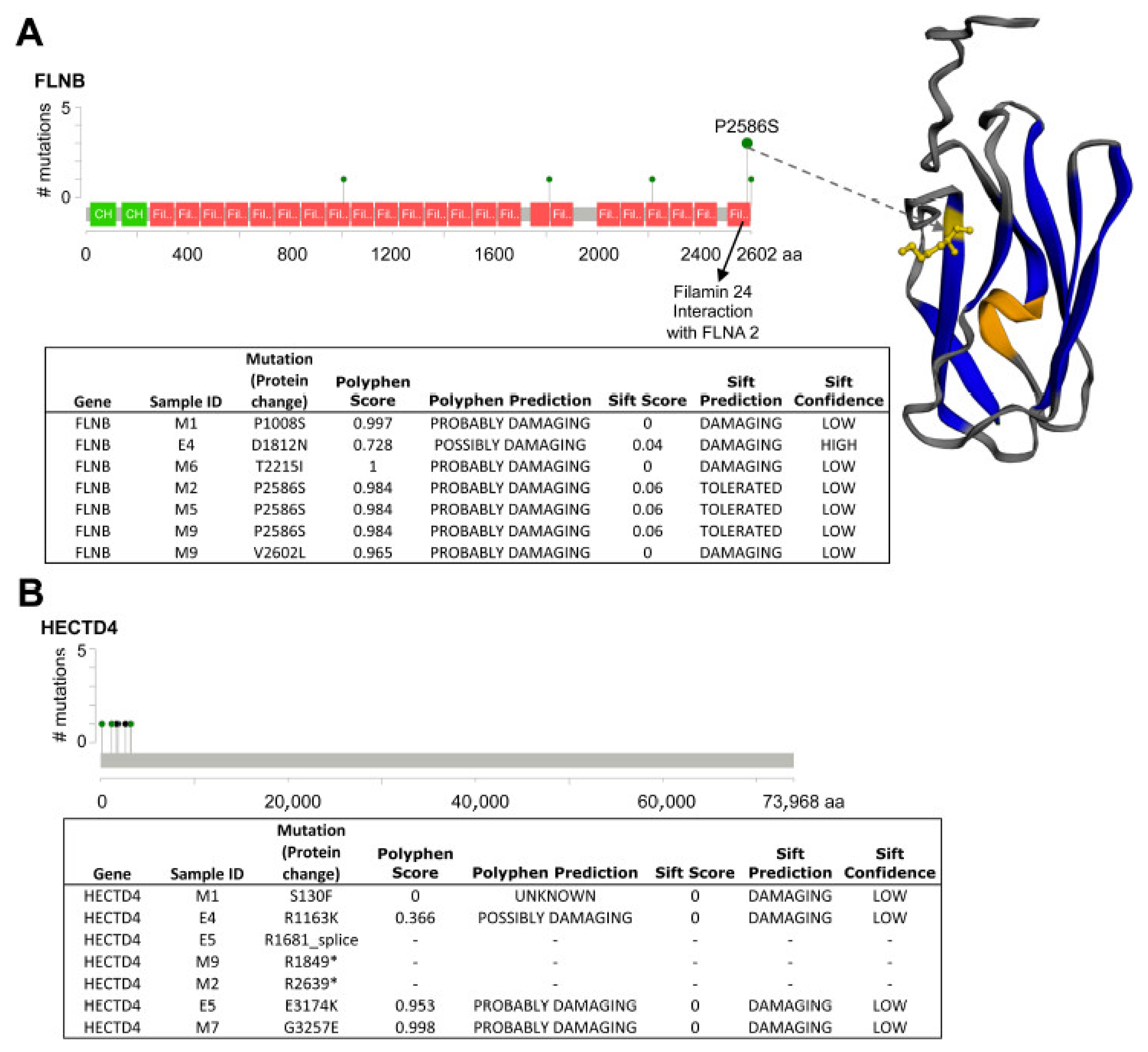 Ijms 26 11377 g002 Ijms 26 11377 g002