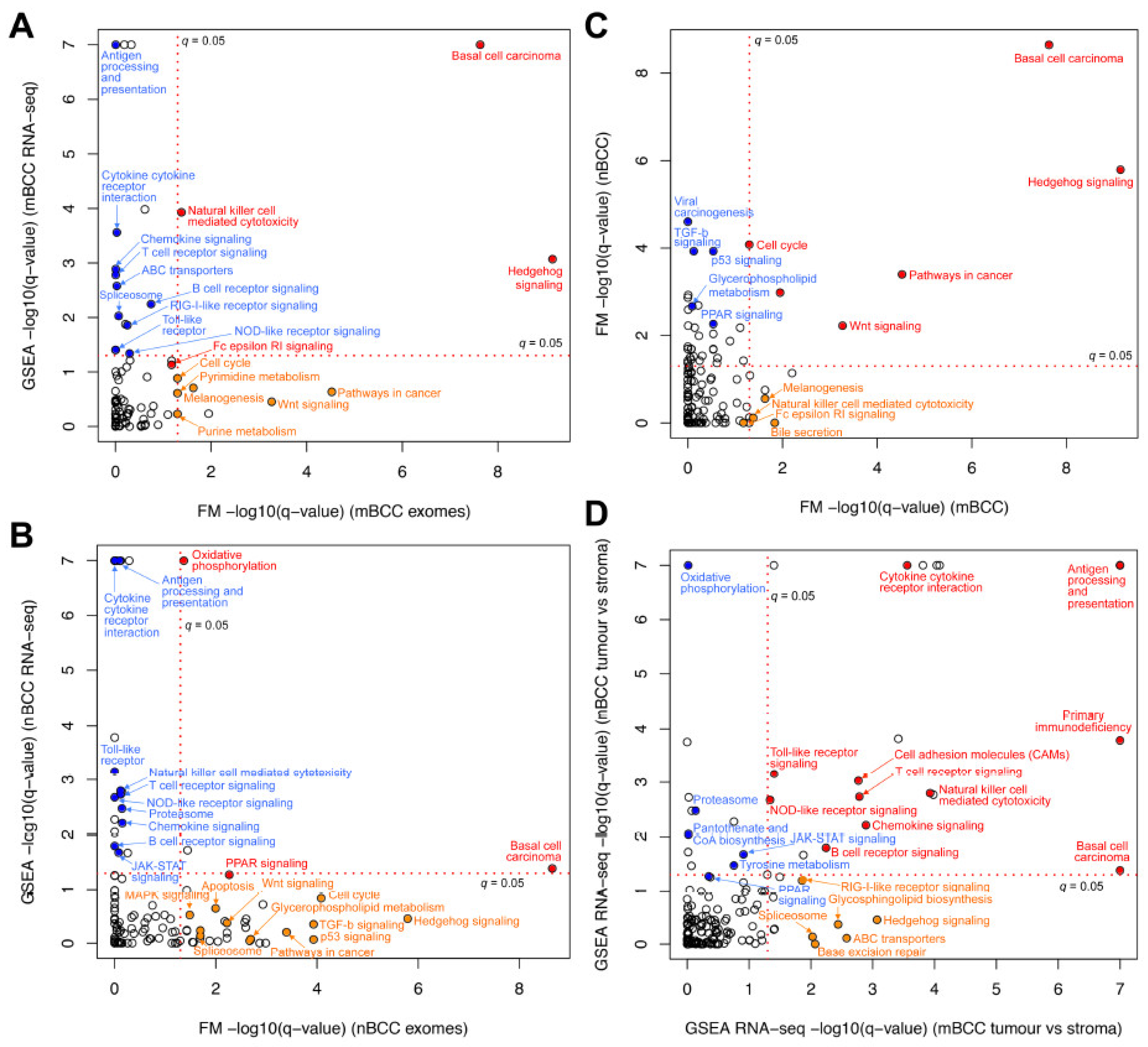 Ijms 26 11377 g003 Ijms 26 11377 g003